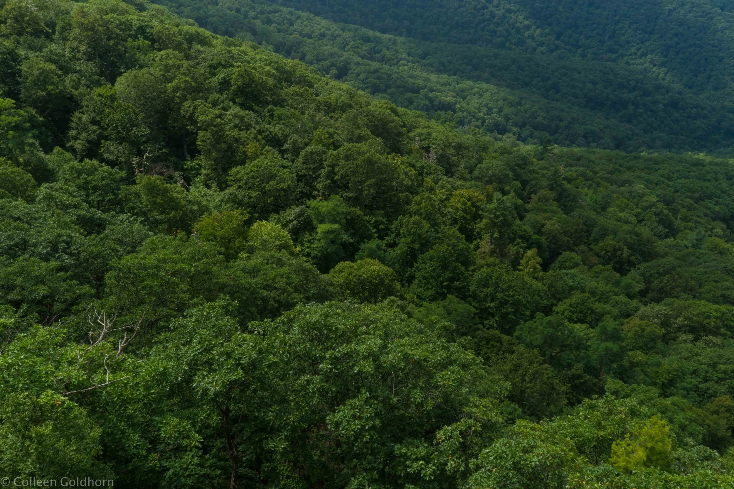 Hike to Bearfence Mountain, Shenandoah National Park, Virginia 