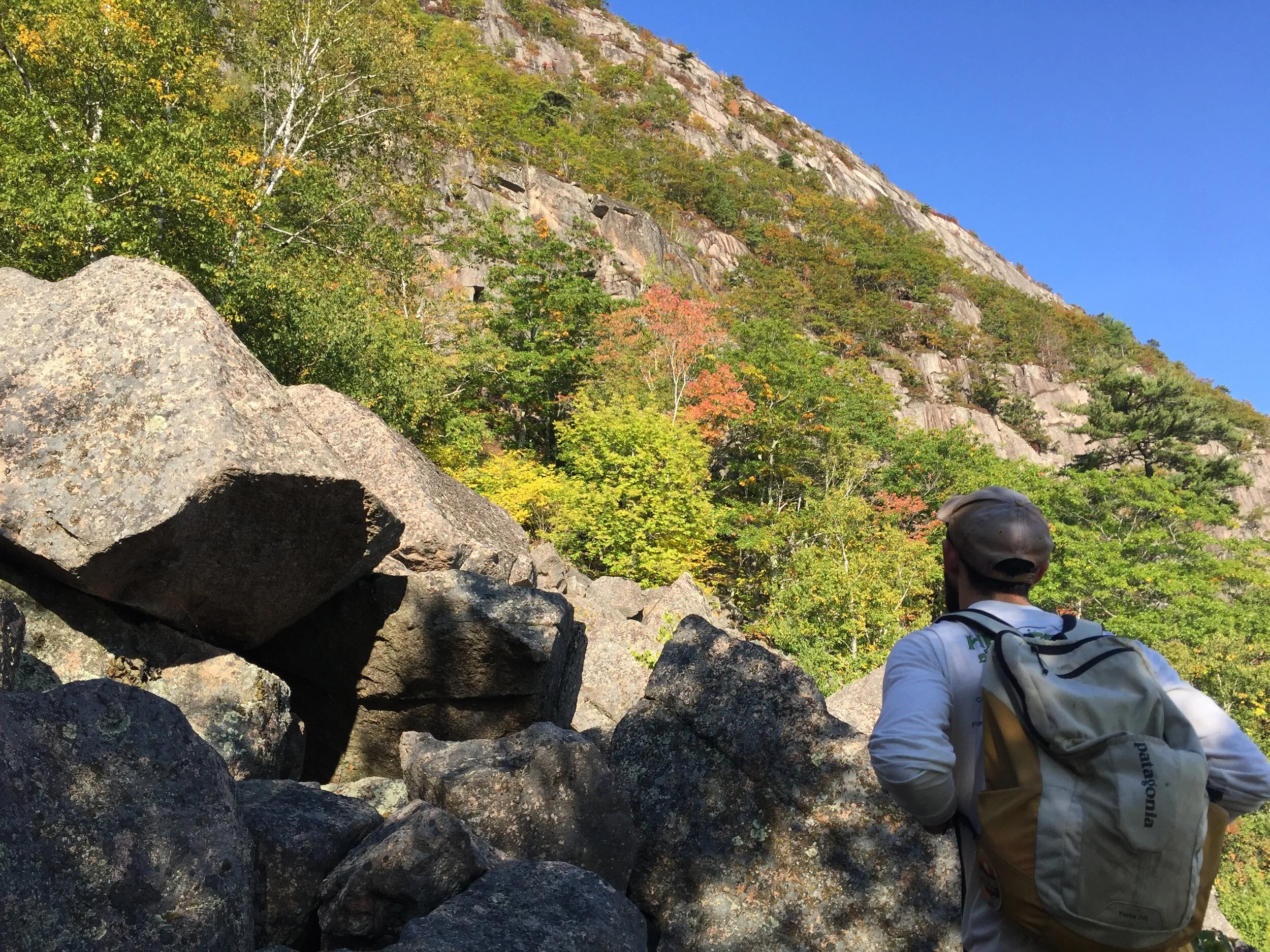 The Precipice, Acadia National Park, Maine