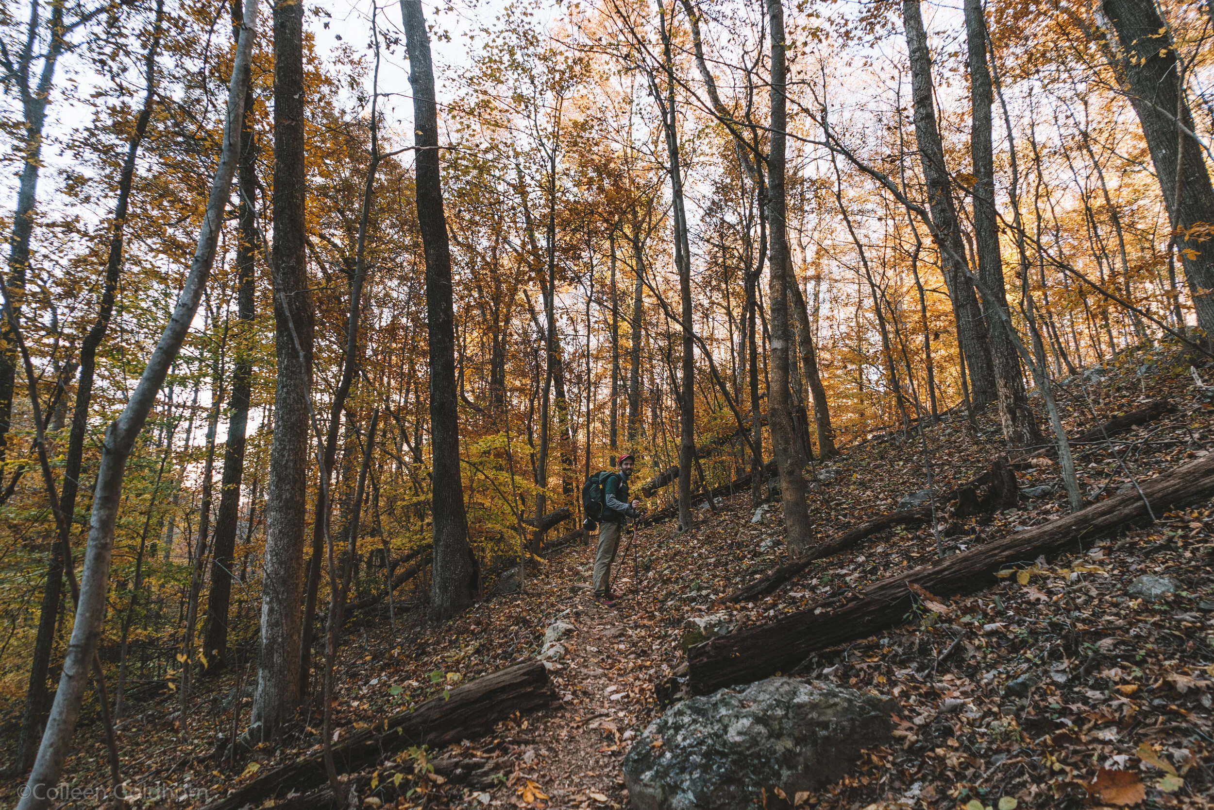 Shenandoah National Park Virginia, Mary's Rock