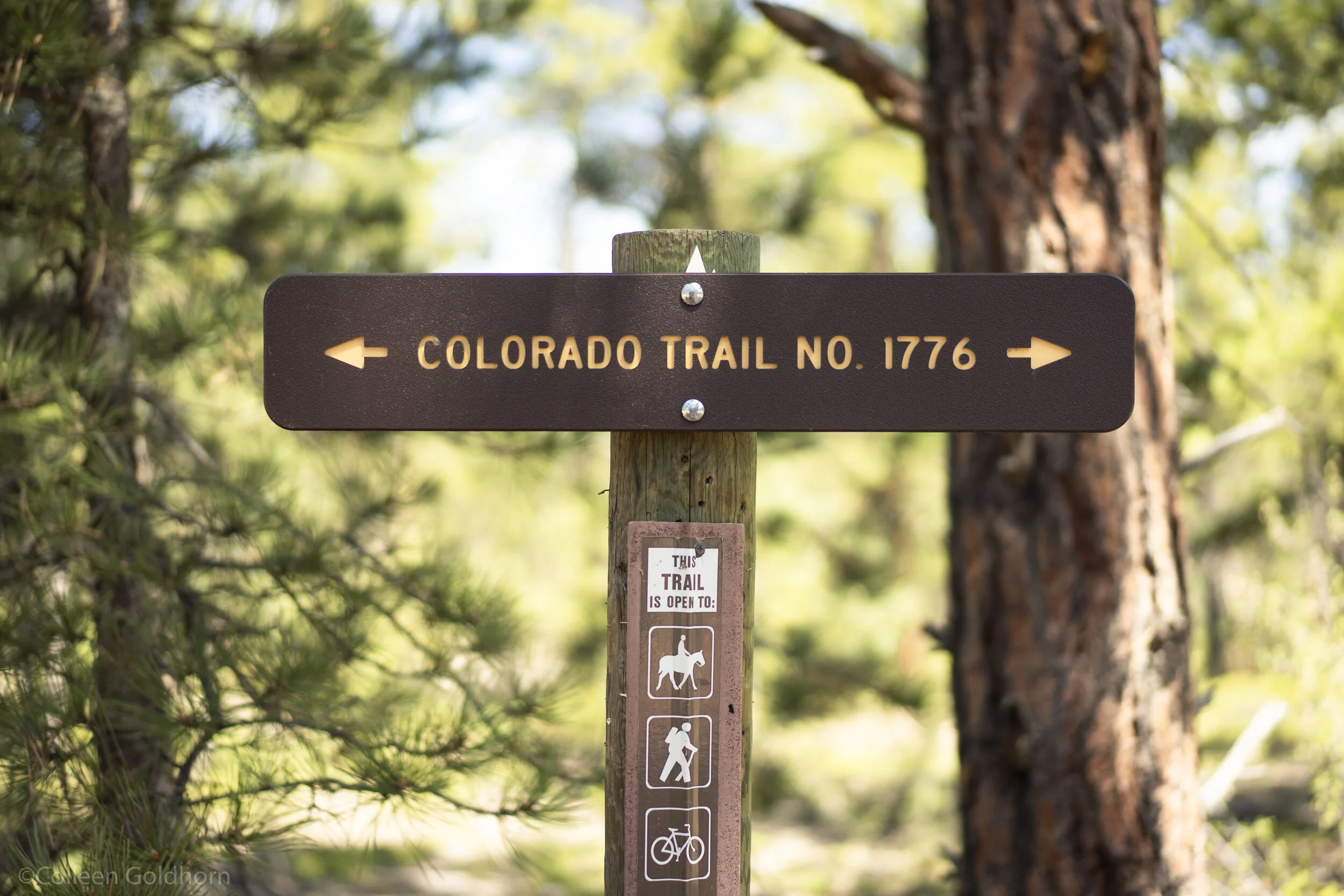 Hike the Colorado Trail Segment 2