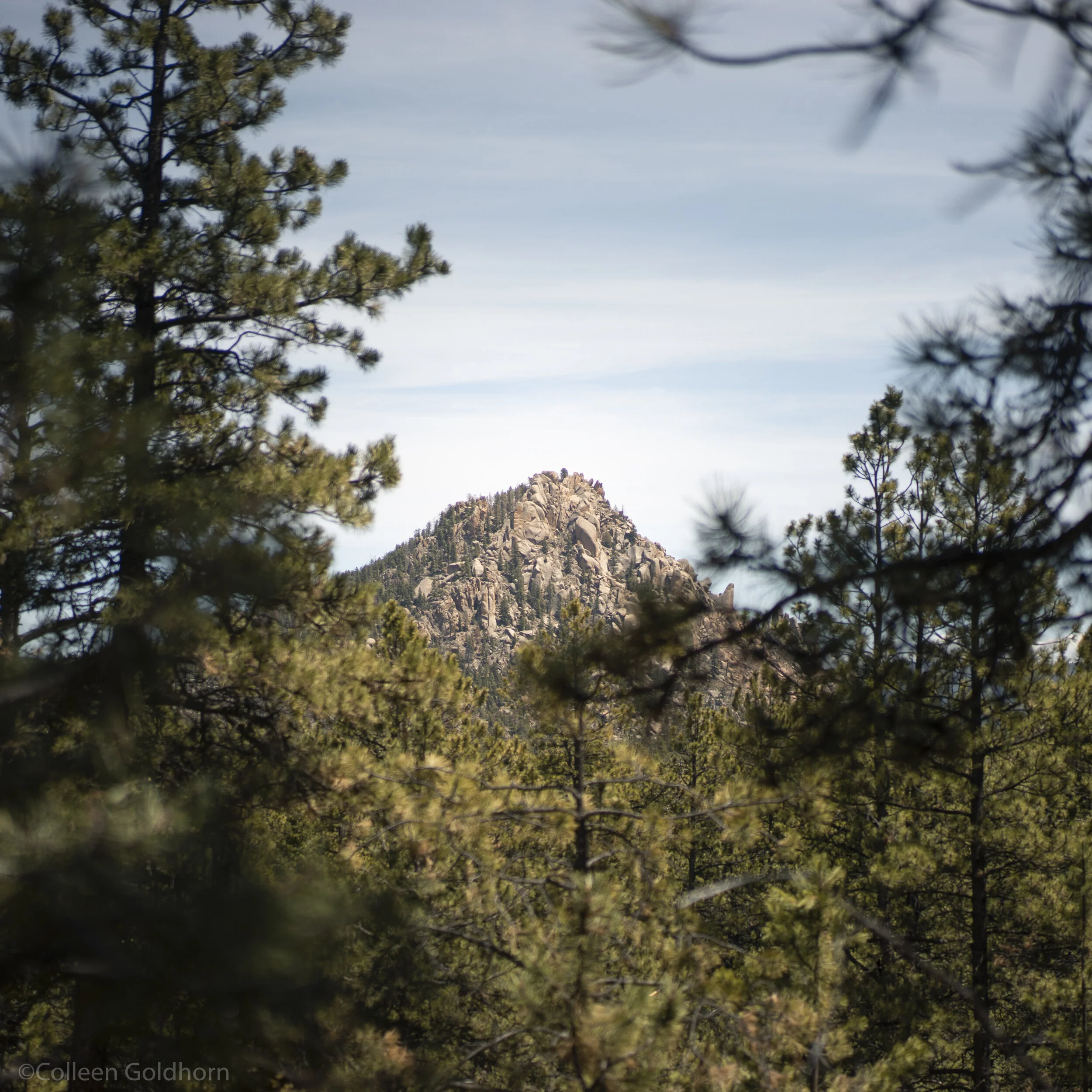 Hike The Colorado Trail Segment 2
