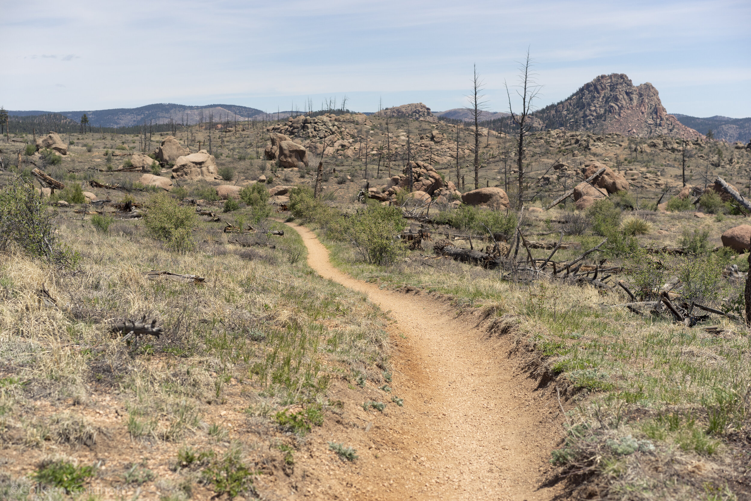 Hike The Colorado Trail Segment 2