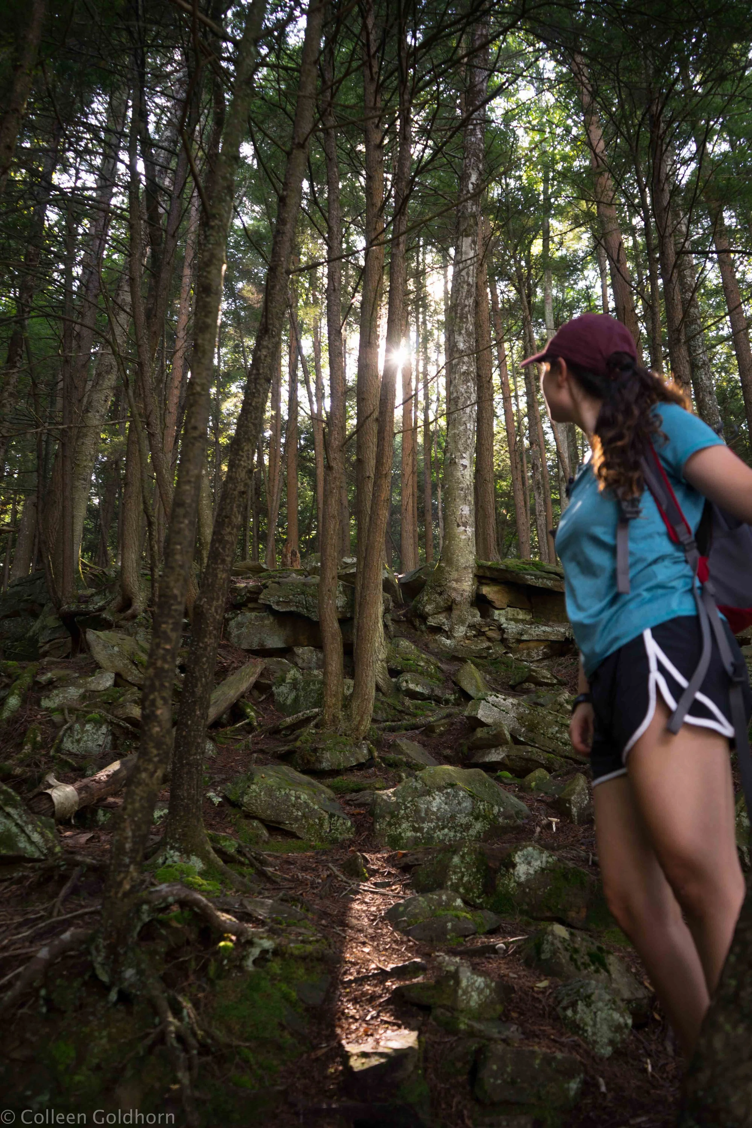 Hike to Dutchman Falls,  Loyalsock State Forest, Pennsylvania
