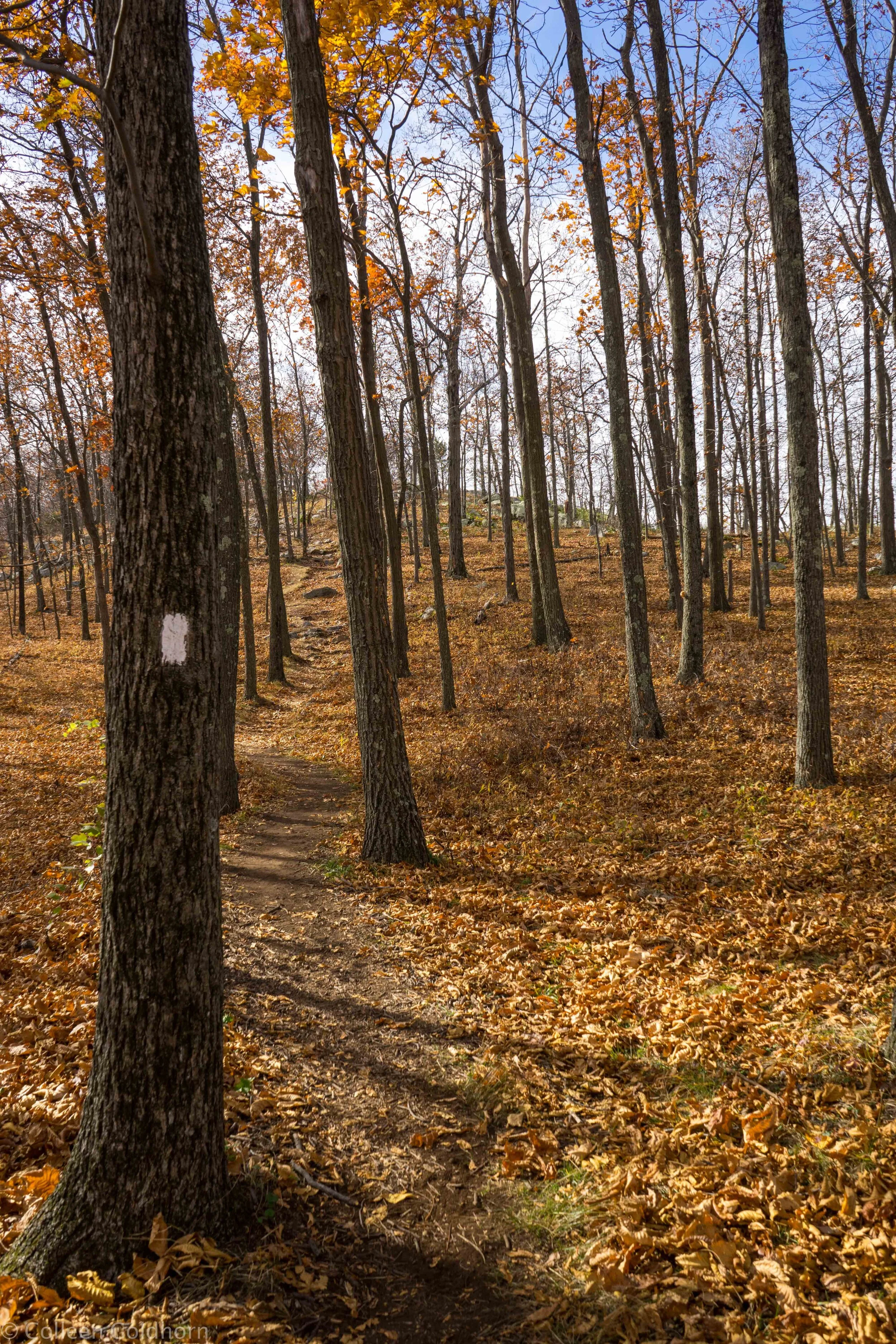 Sunfish Pond, Appalachian Trail, New Jersey