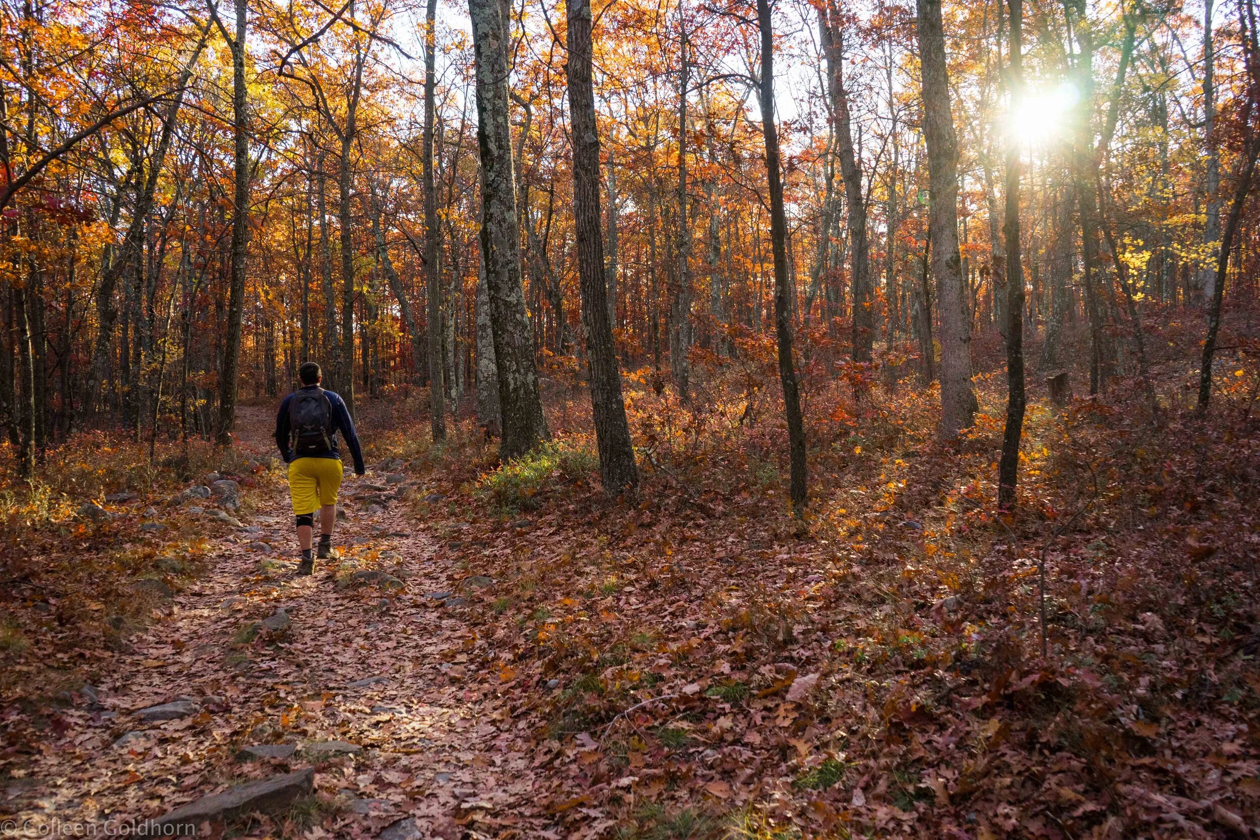 Sunfish Pond, Appalachian Trail, New Jersey