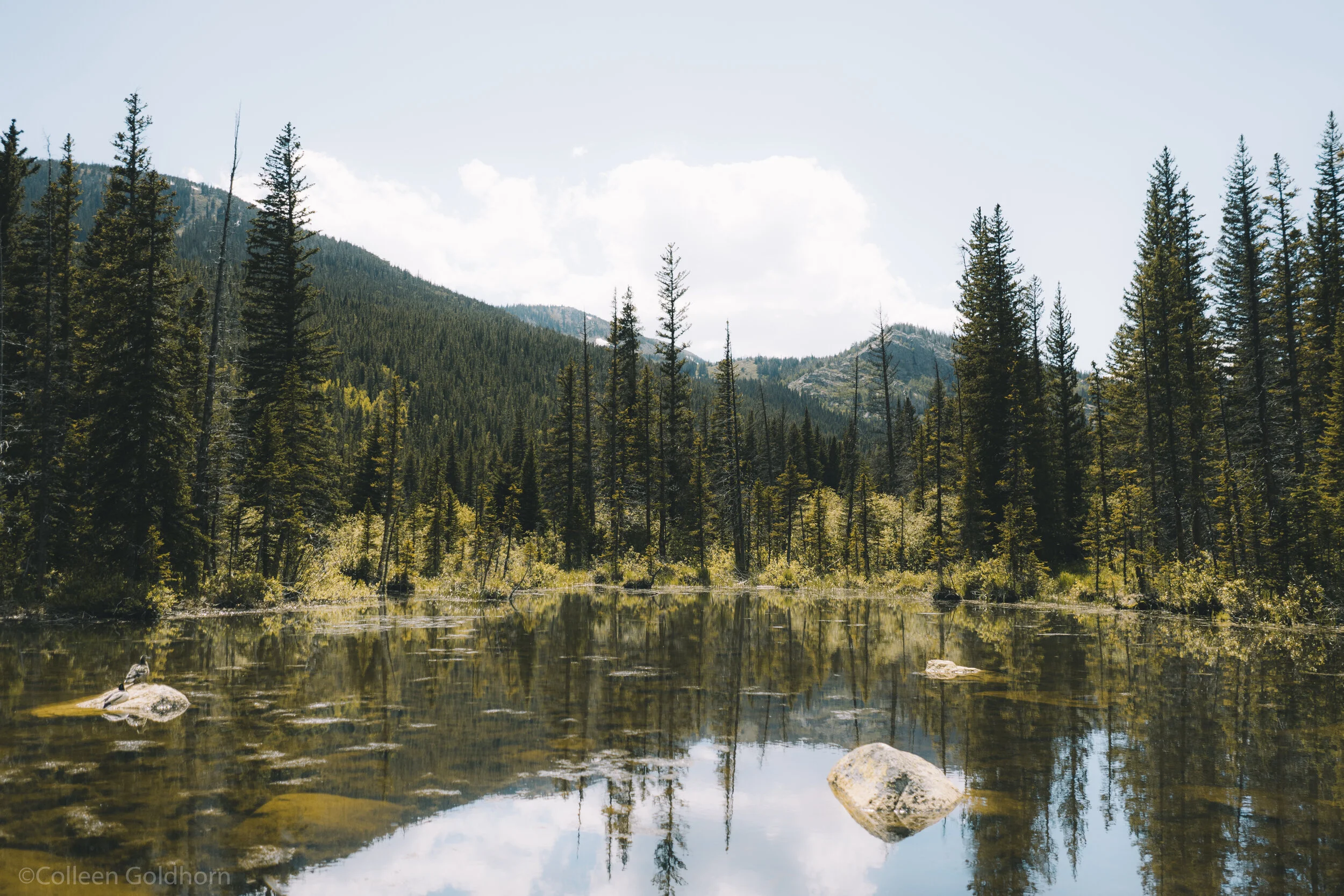 Hike Lost Lake, Colorado