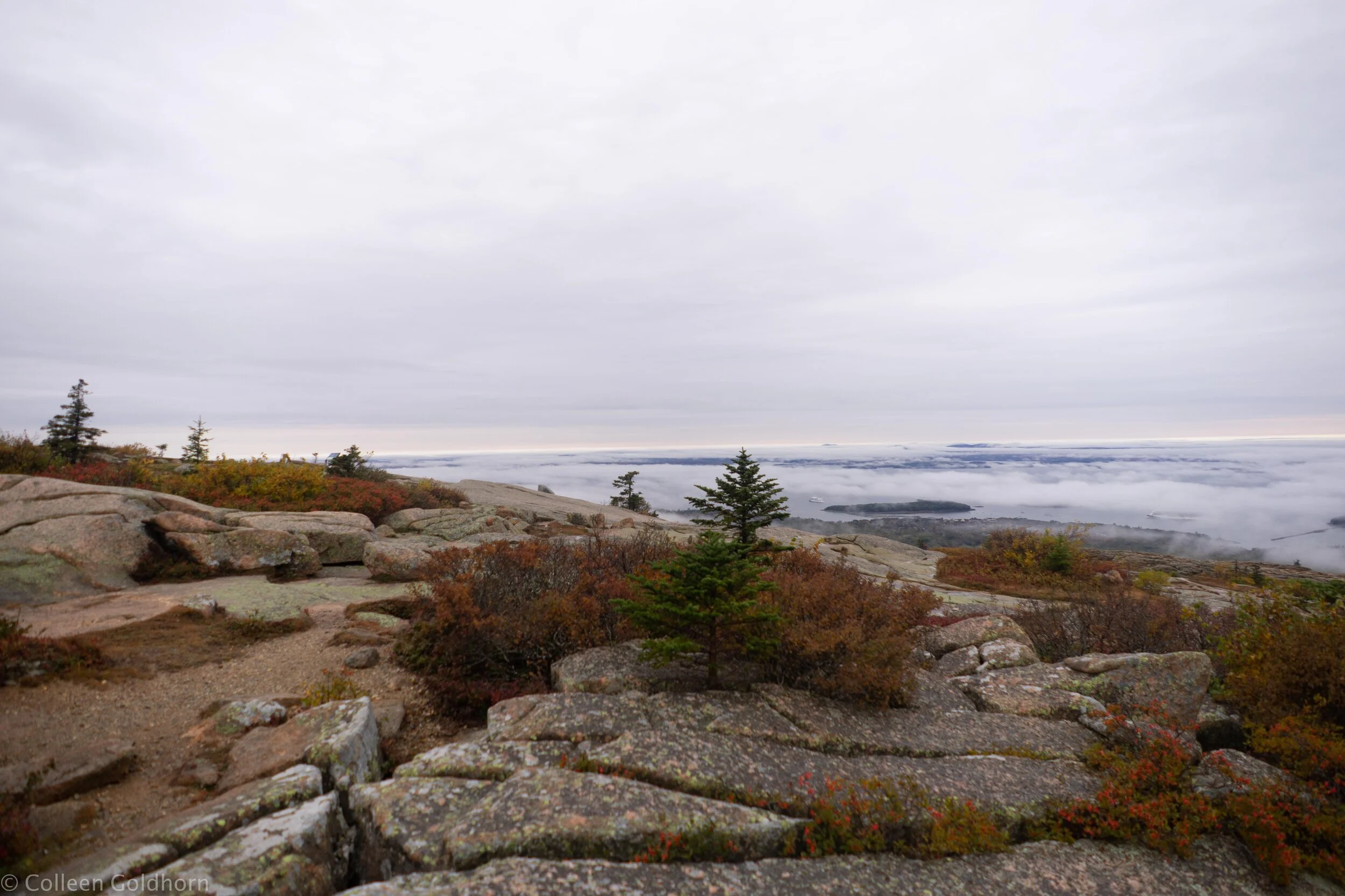 Cadillac Mountain, Acadia National Park, Maine
