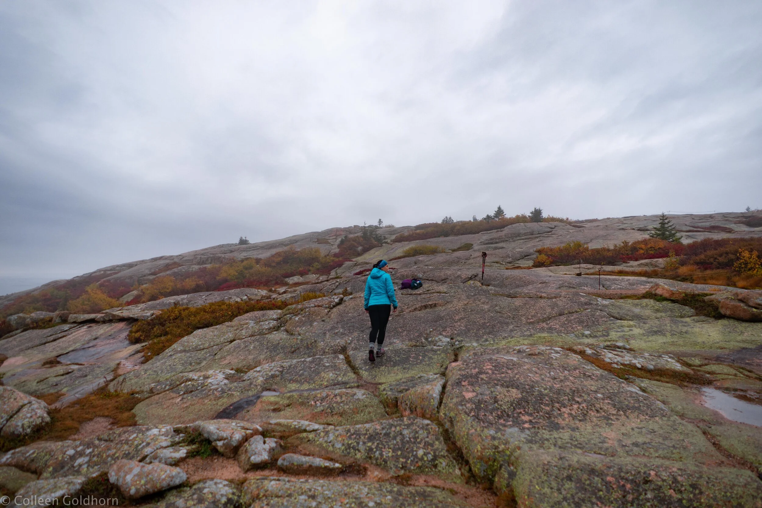 Cadillac Mountain, Acadia National Park, Maine