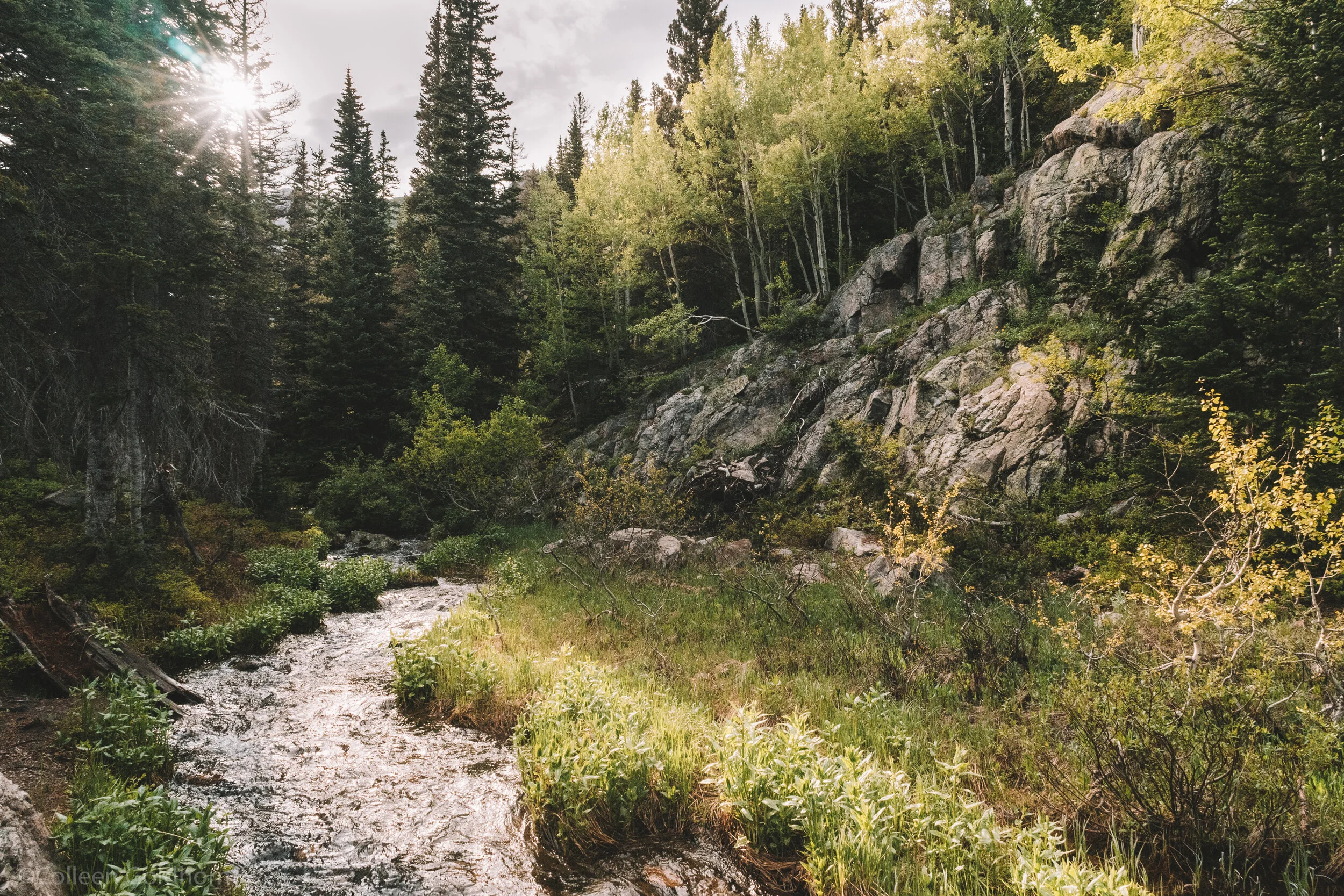 DreamLake+EmeraldLake_RMNP_Summer2020_011.jpg