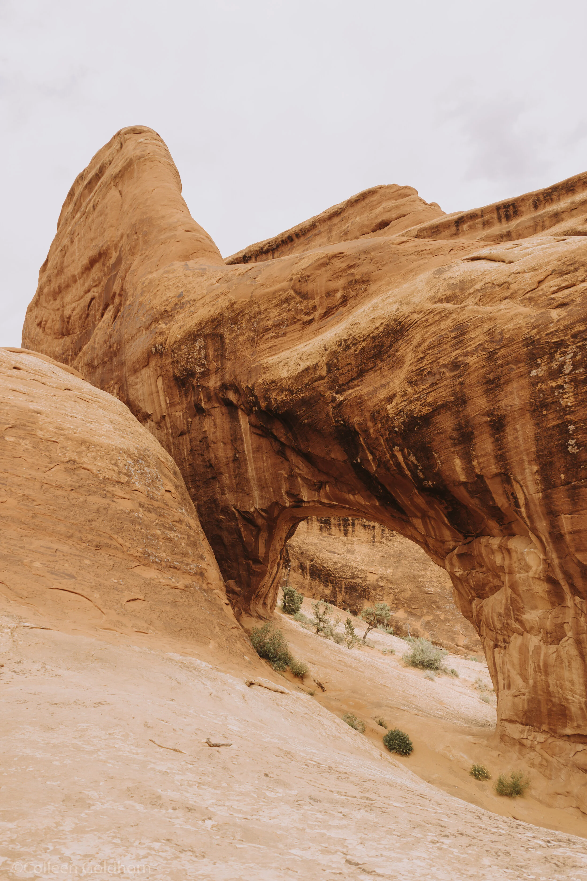 Devil’s Garden Trail, Arches National Park, Utah
