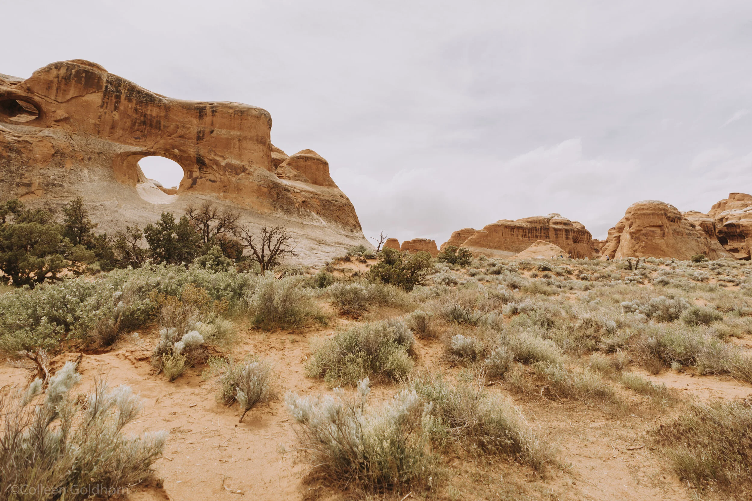 Devil’s Garden Trail, Arches National Park, Utah