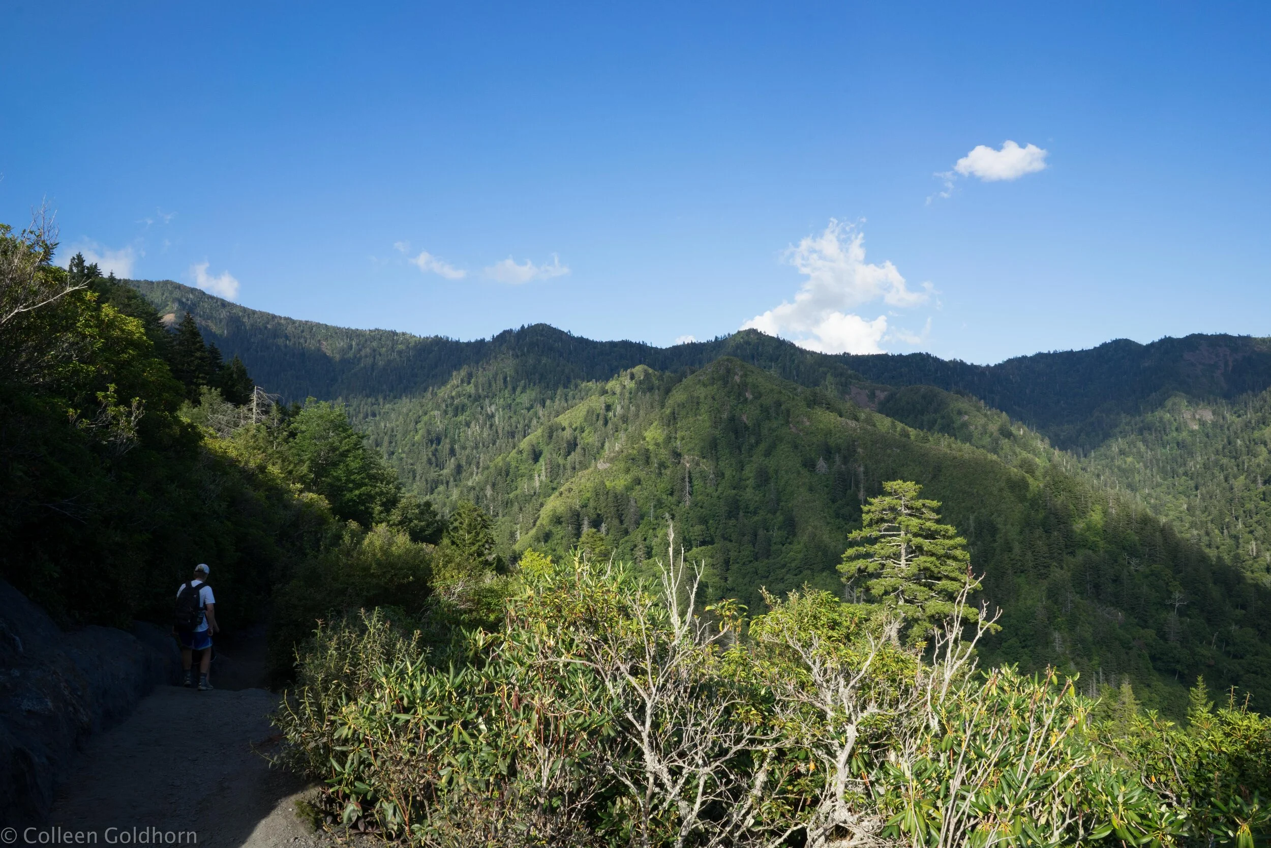Alum Cave Bluffs, Great Smoky Mountain National Park, Tennessee