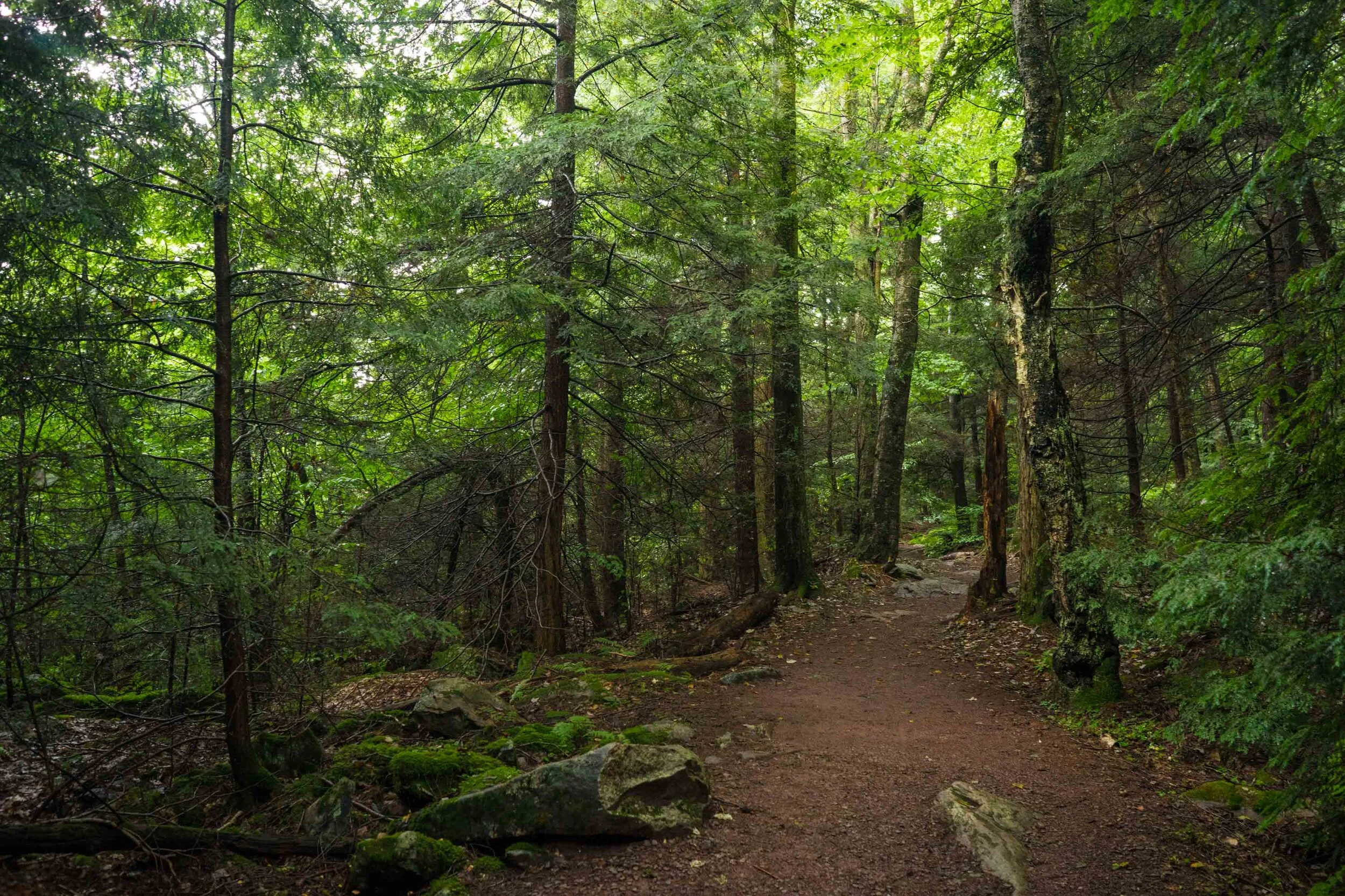 Ricketts Glen Falls Trail, Pennsylvania