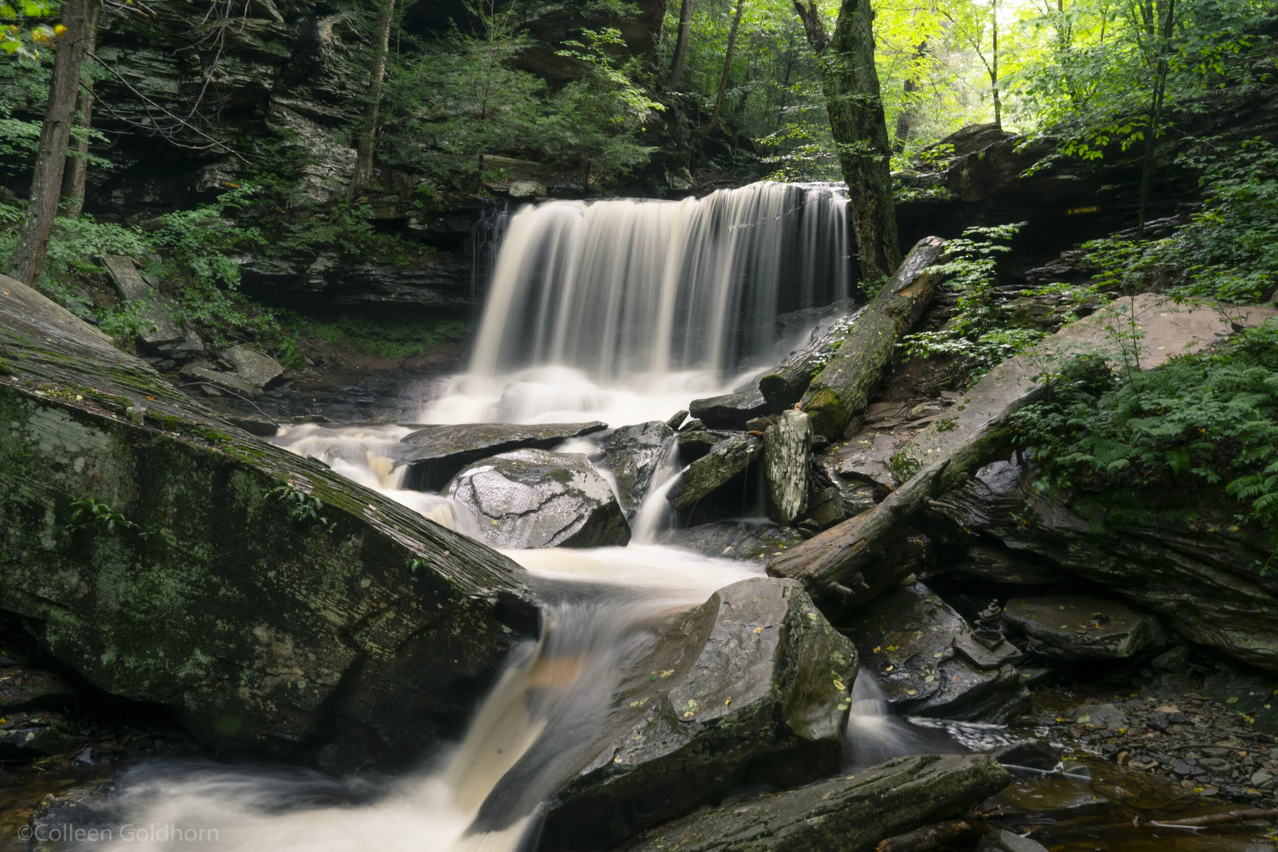 Ricketts Glen Falls Trail, Pennsylvania