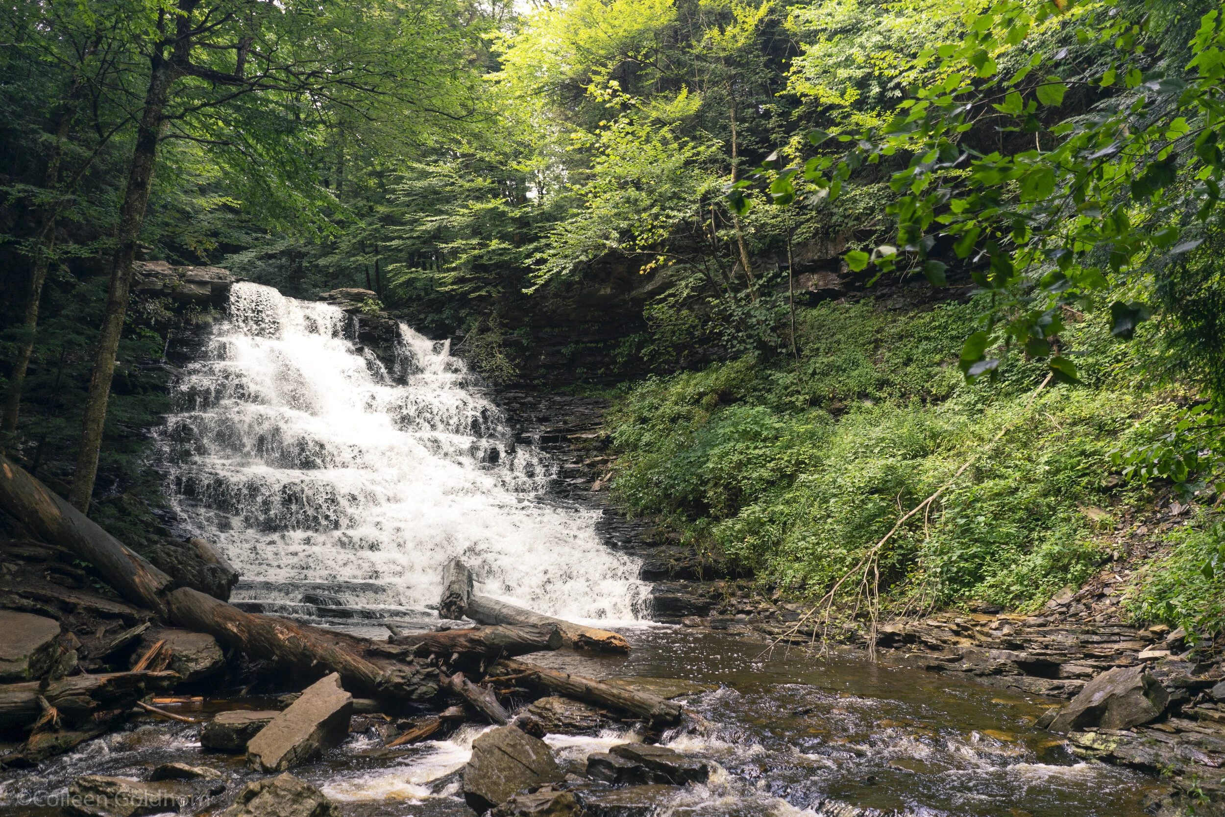 Ricketts Glen Falls Trail, Pennsylvania