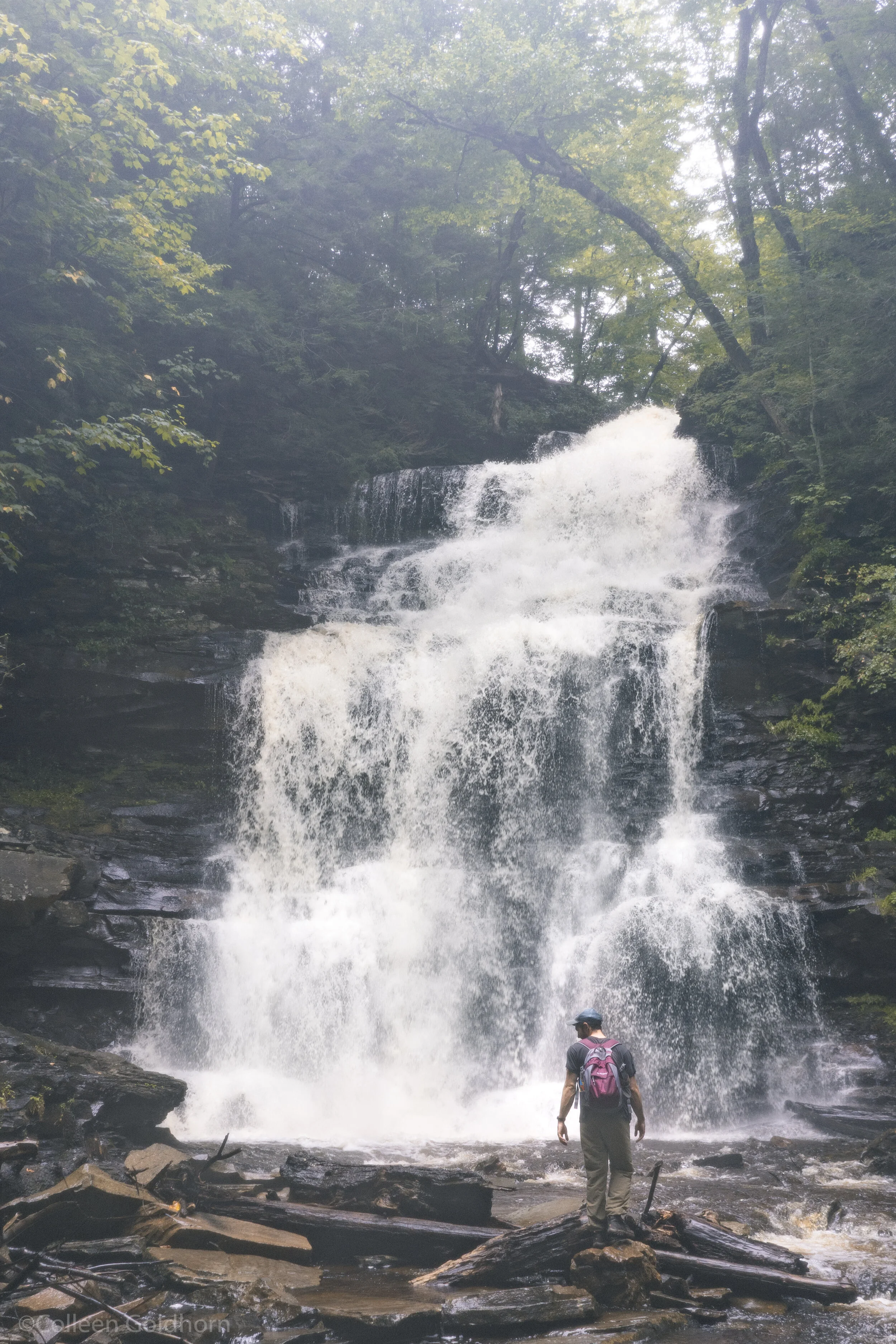 Ricketts Glen Falls Trail, Pennsylvania