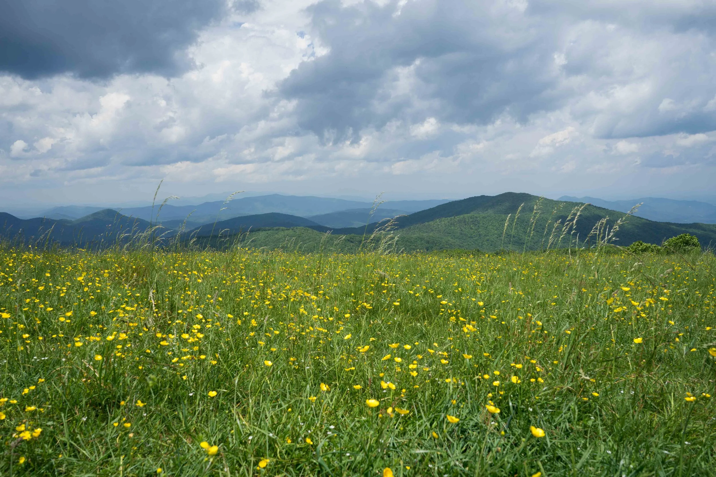 Max Patch Mountain, Appalachian Trail, North Carolina