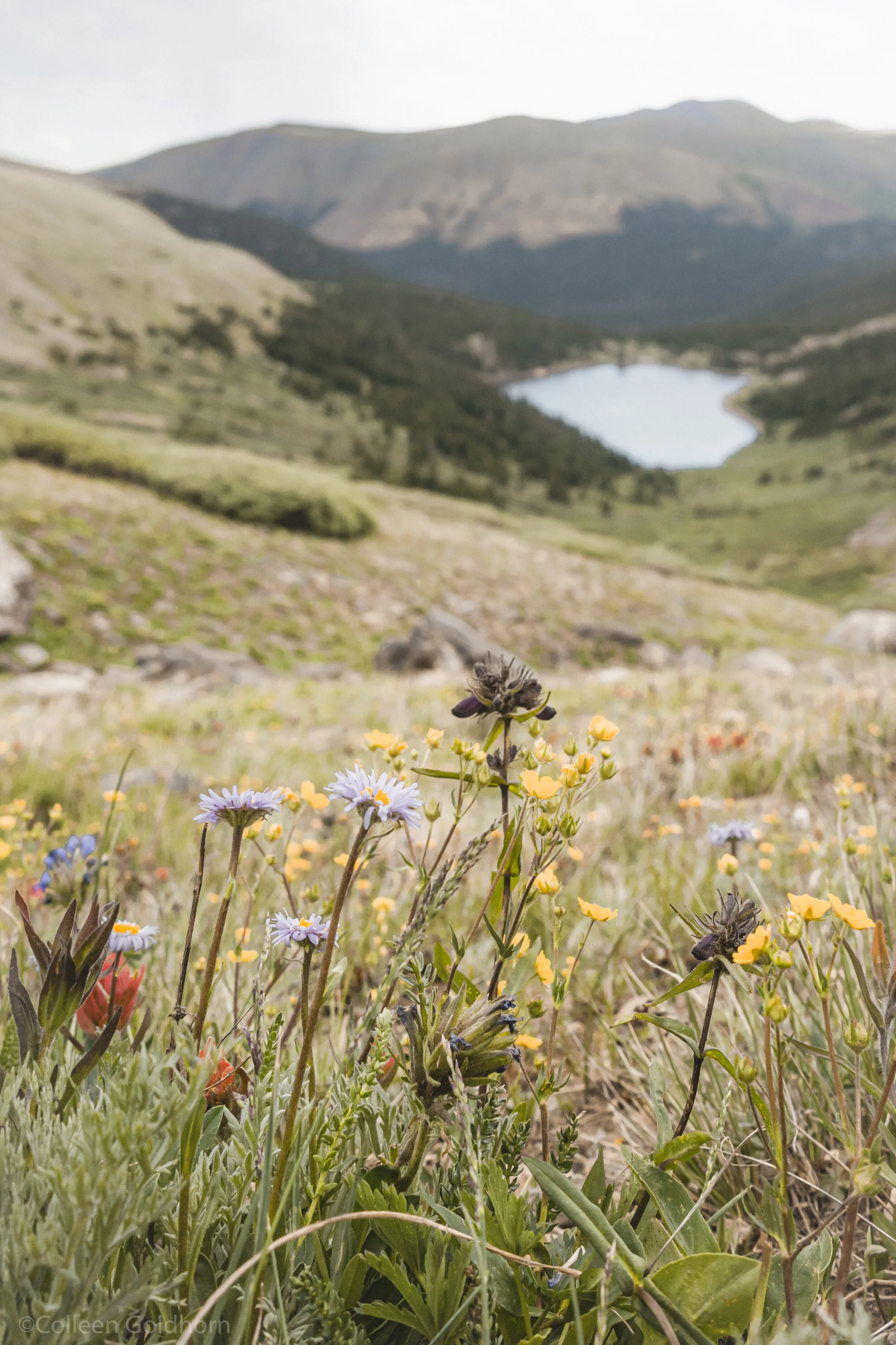 Silver Dollar &amp; Murray Lakes, Georgetown, Colorado