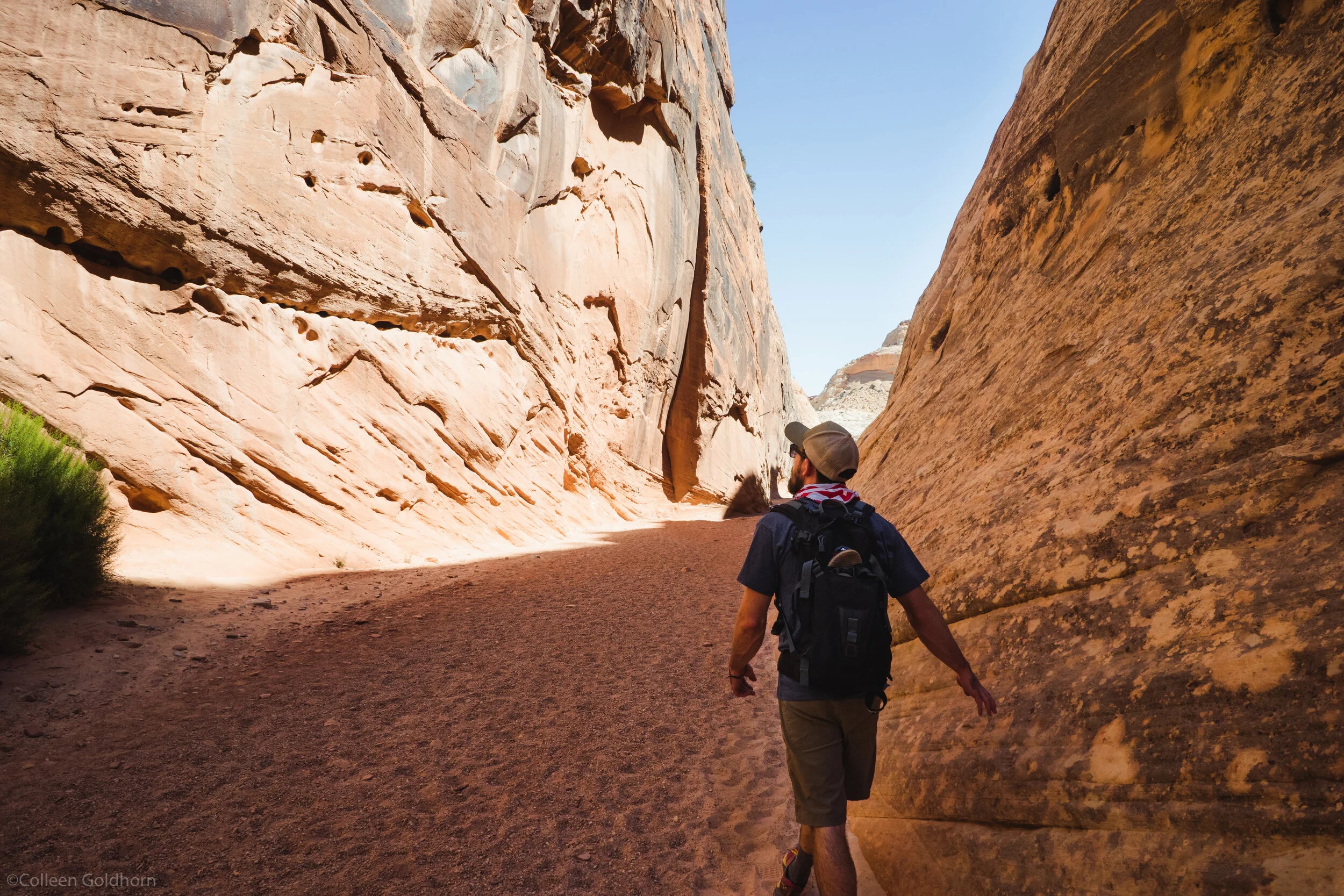 The Tanks via Capitol Gorge, Capitol Reef National Park, Utah