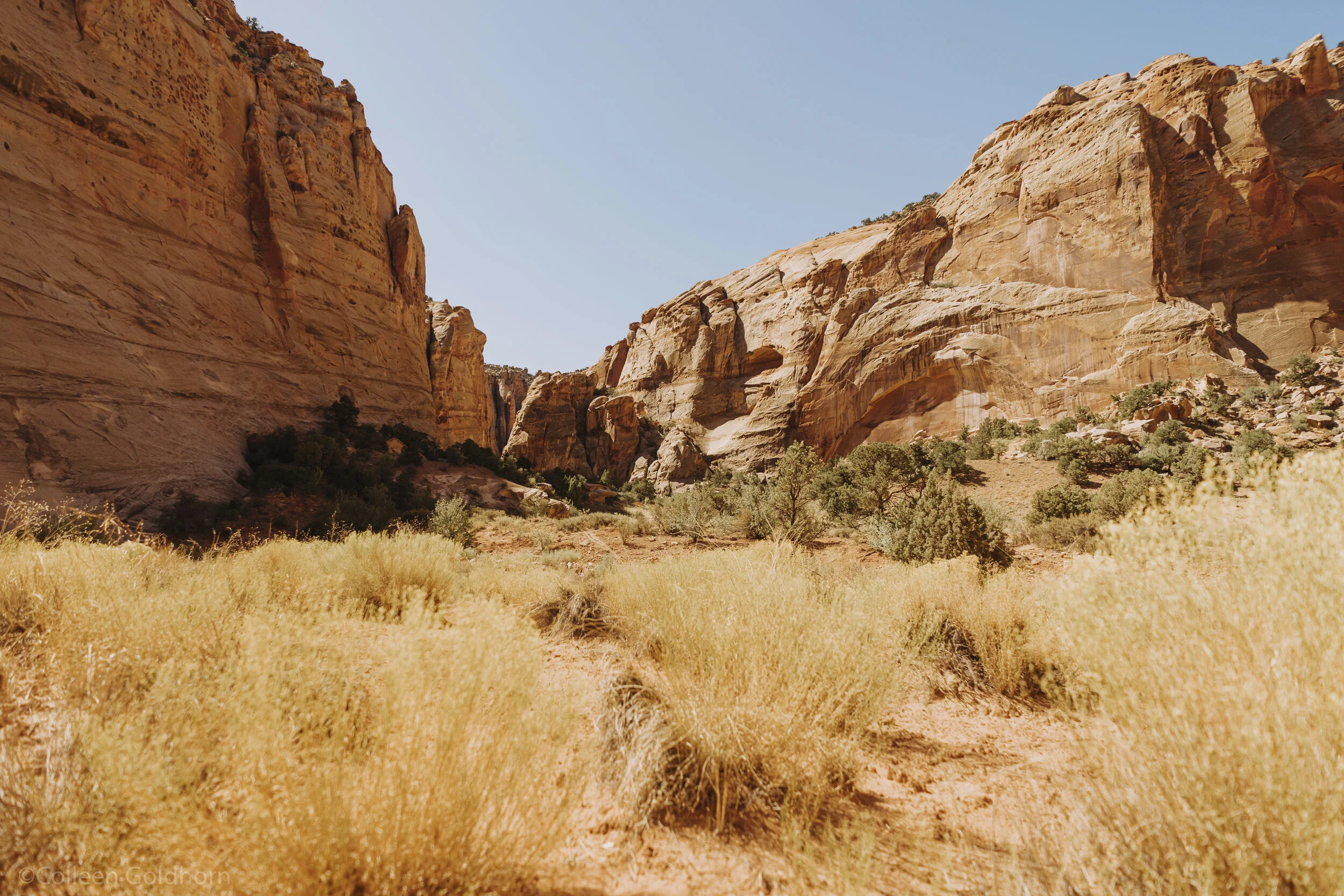 The Tanks via Capitol Gorge, Capitol Reef National Park, Utah