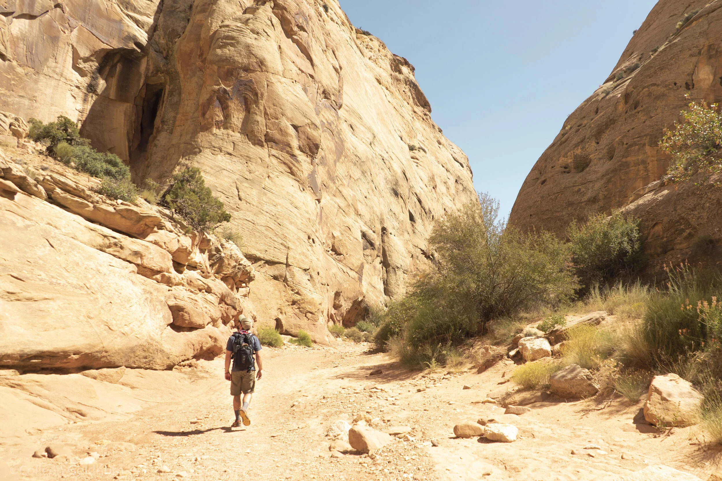 The Tanks via Capitol Gorge, Capitol Reef National Park, Utah