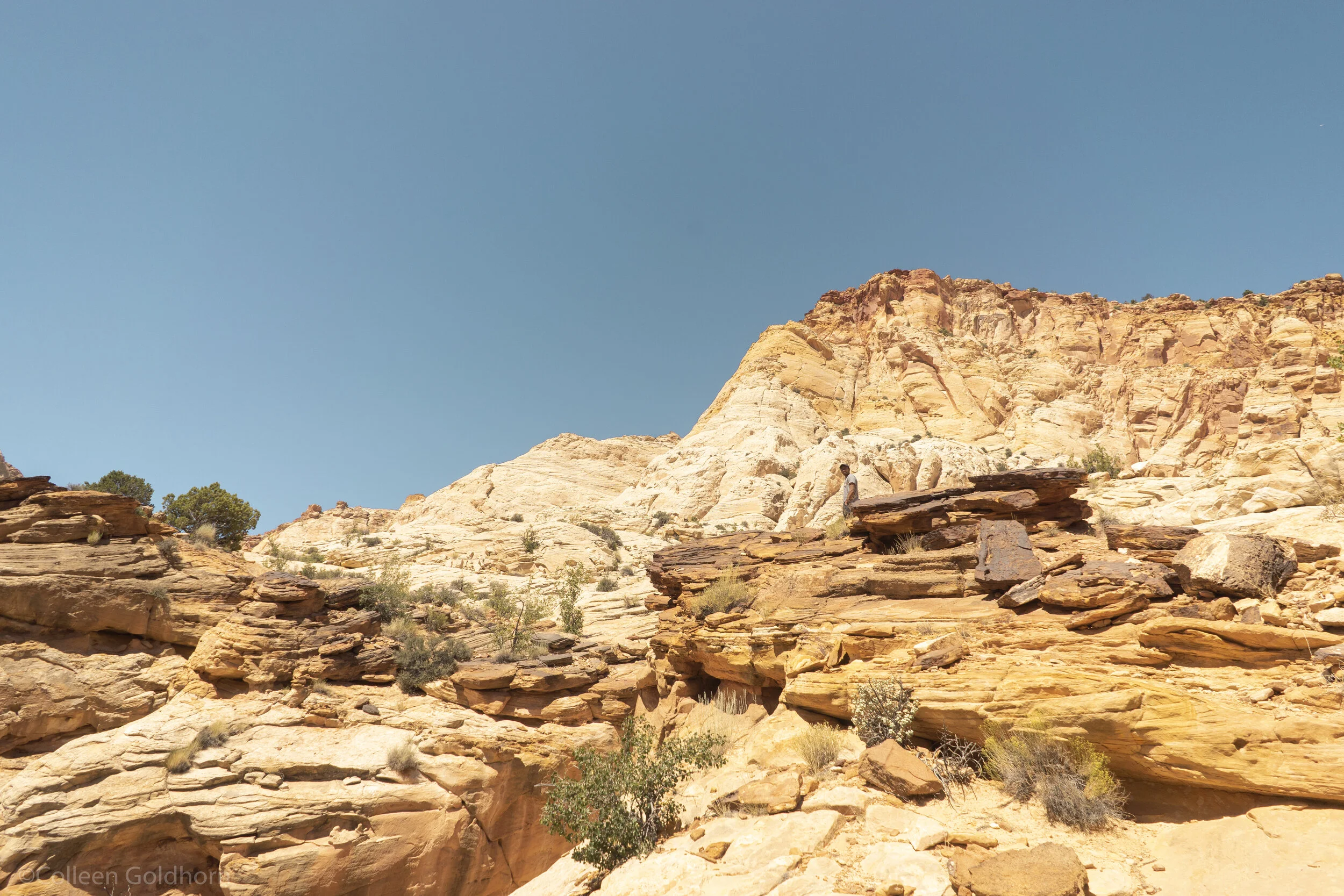 The Tanks via Capitol Gorge, Capitol Reef National Park, Utah