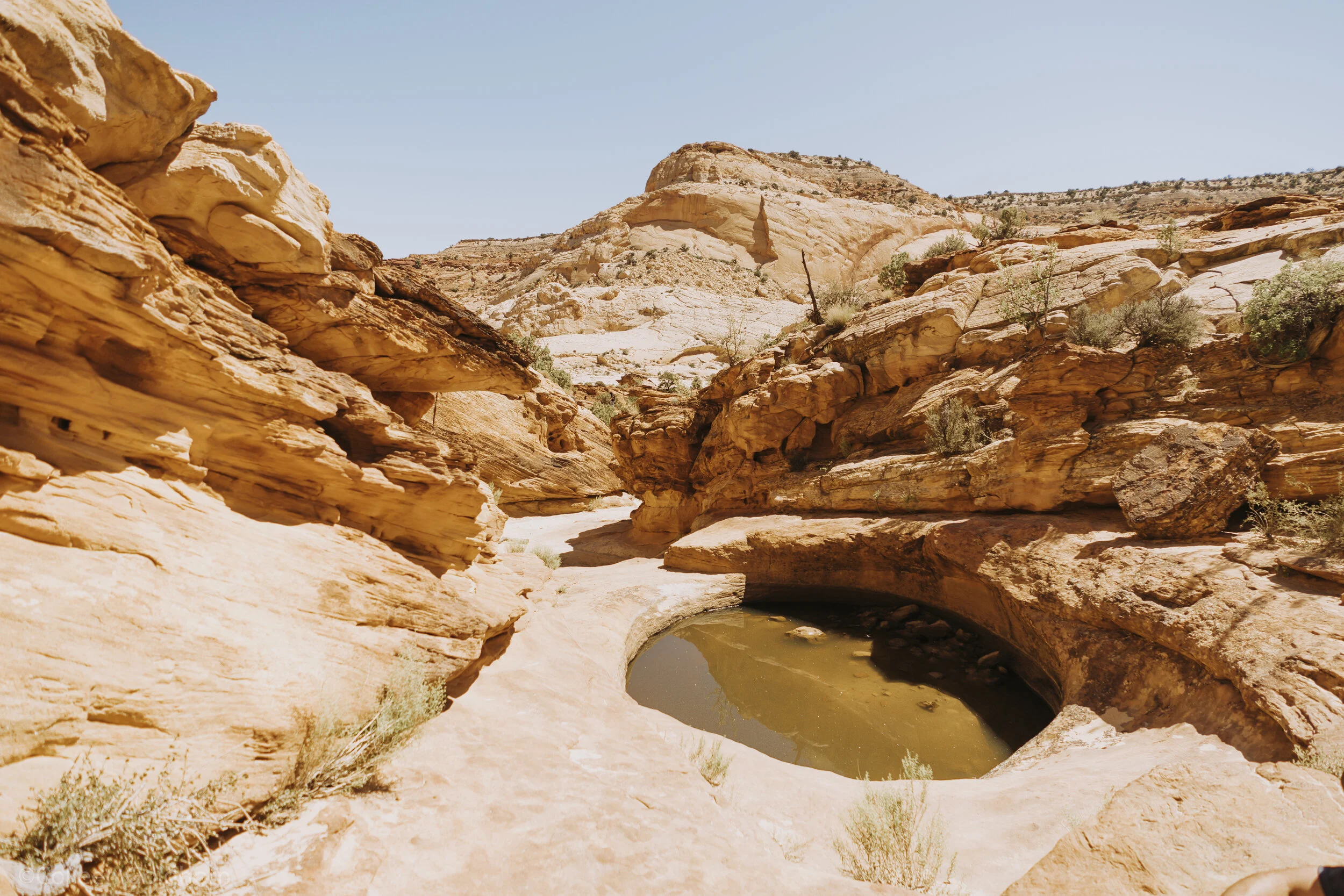 The Tanks via Capitol Gorge, Capitol Reef National Park, Utah
