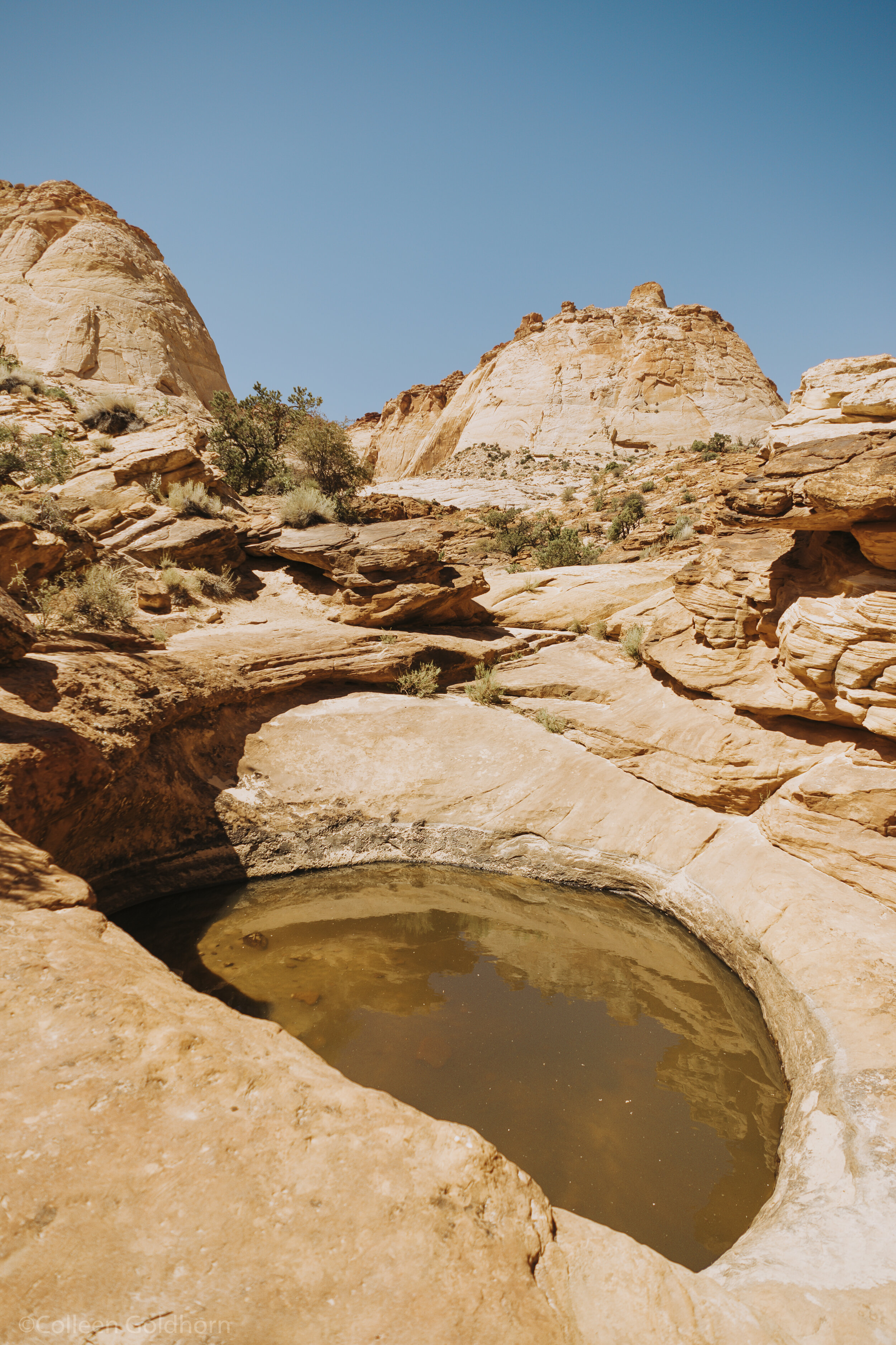 The Tanks via Capitol Gorge, Capitol Reef National Park, Utah