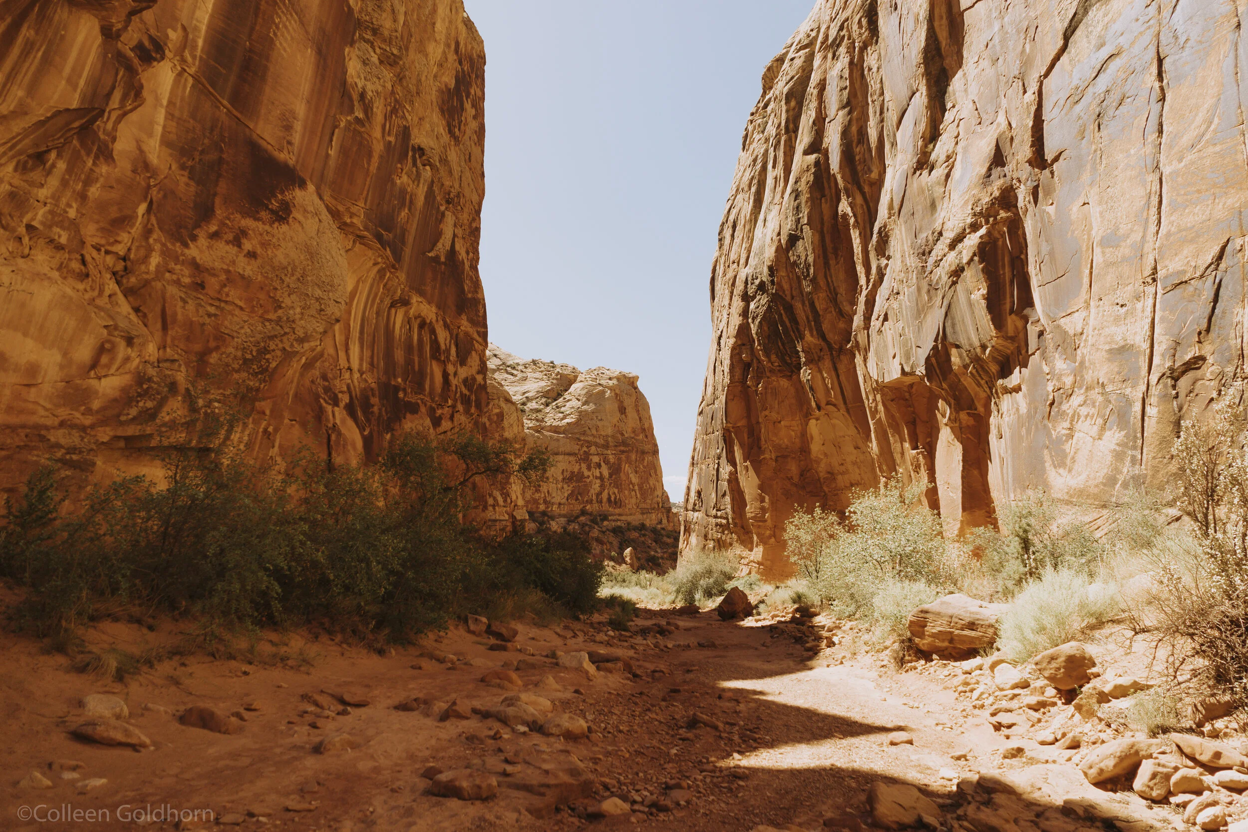 The Tanks via Capitol Gorge, Capitol Reef National Park, Utah