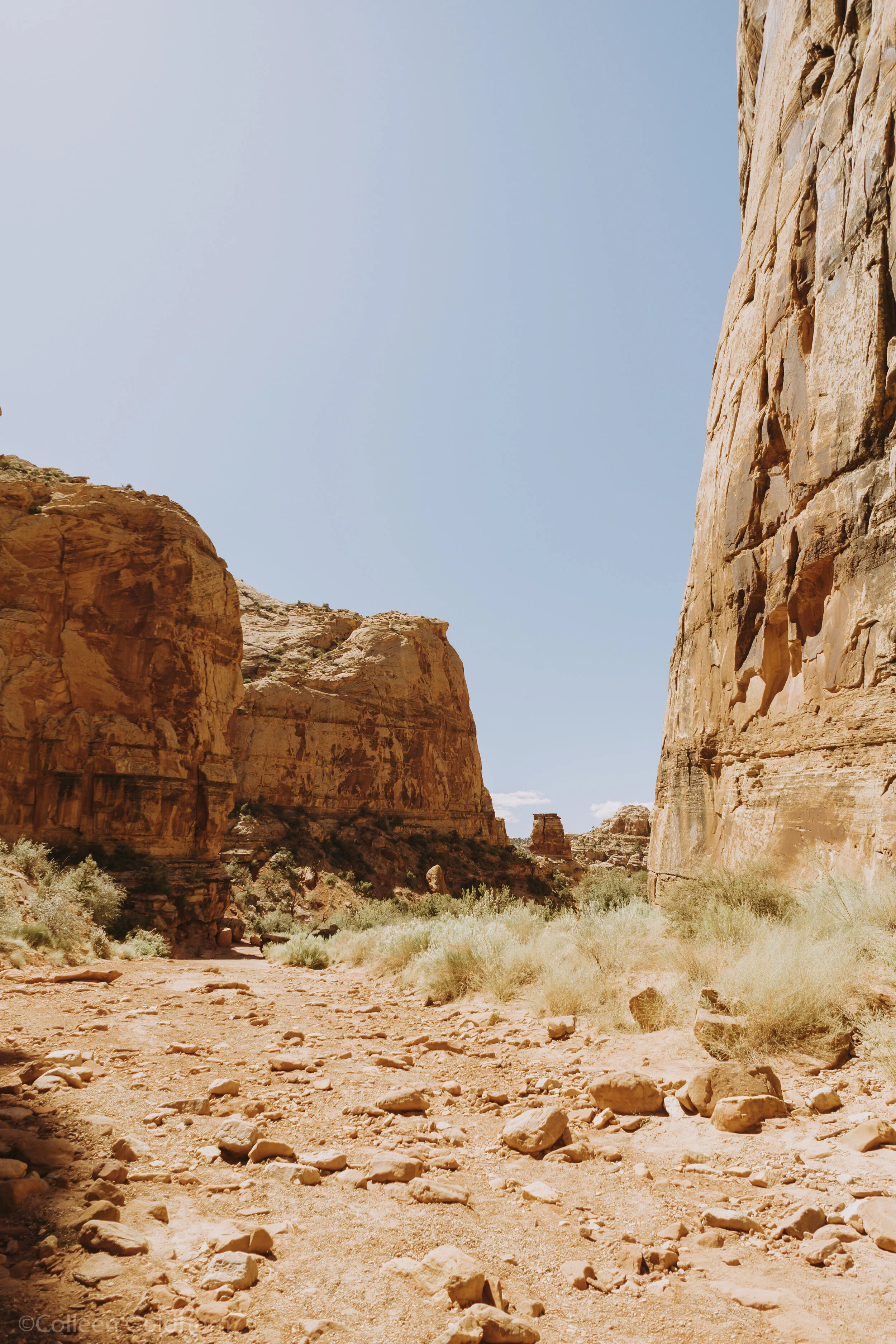 The Tanks via Capitol Gorge, Capitol Reef National Park, Utah