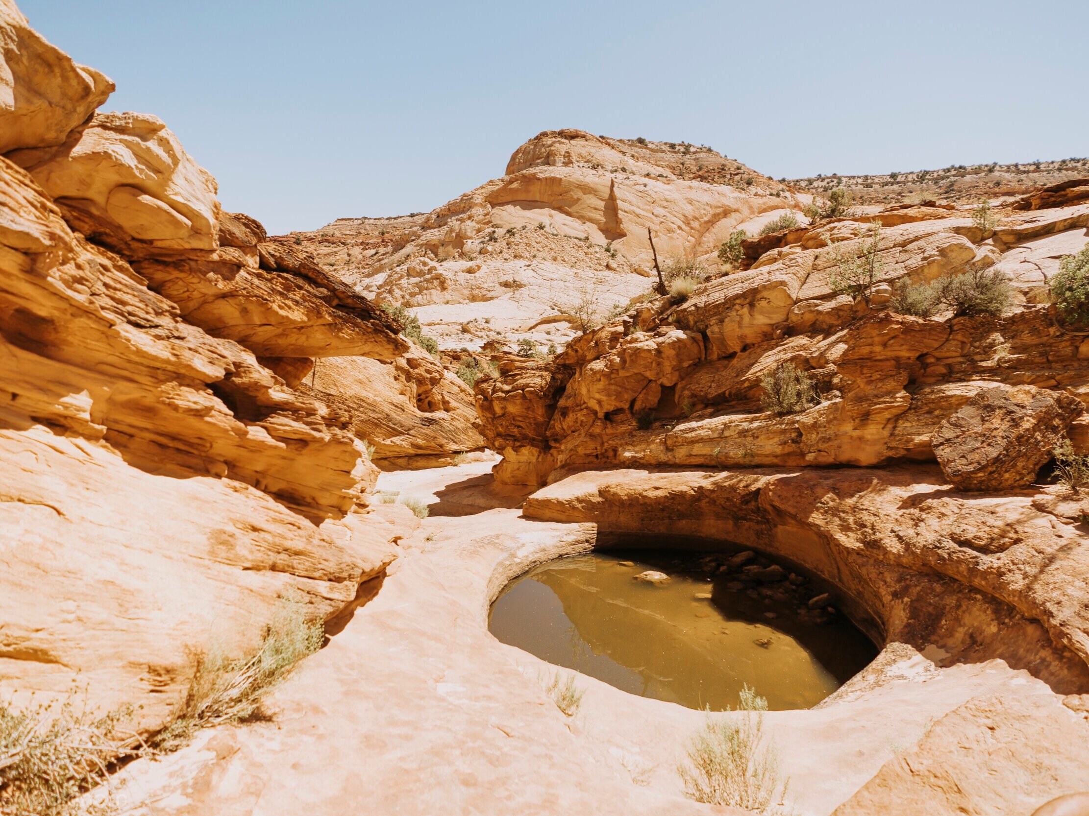 The Tanks via Capitol Gorge Trail, Utah
