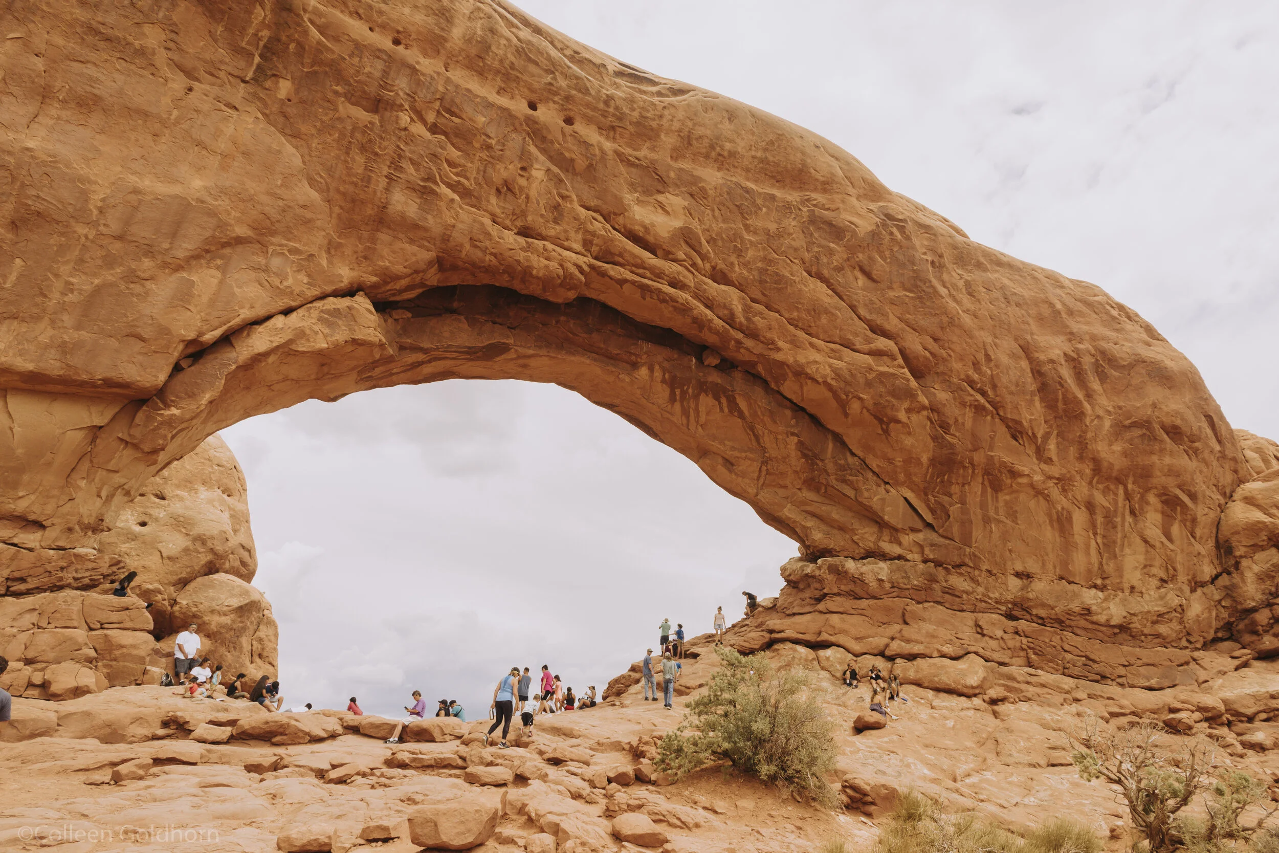 The Windows and Turret Arch, Arches National Park, Utah