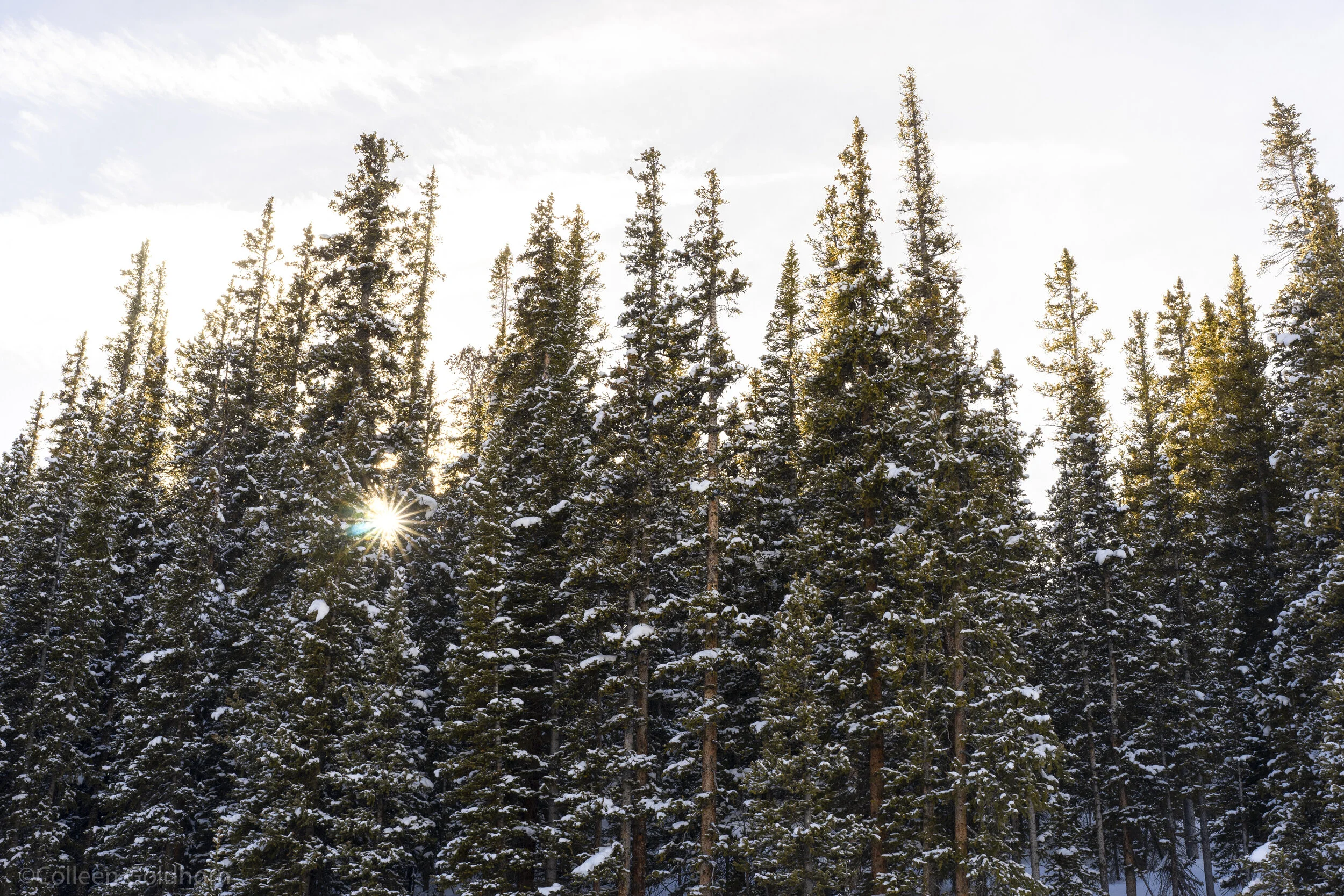 Hike to Mayflower Gulch, Colorado