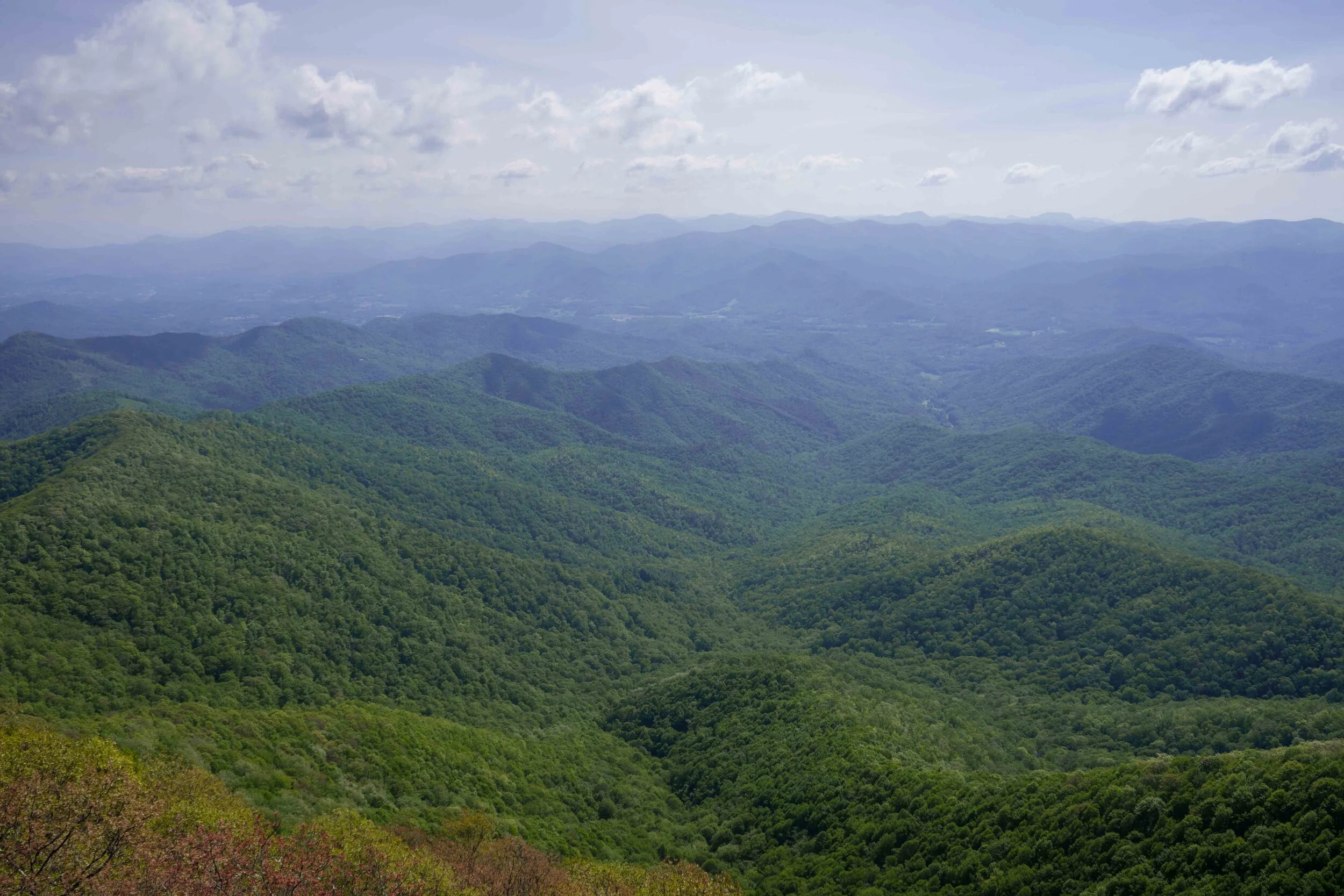 Springer Mountain via Appalachian Approach Trail, Georgia