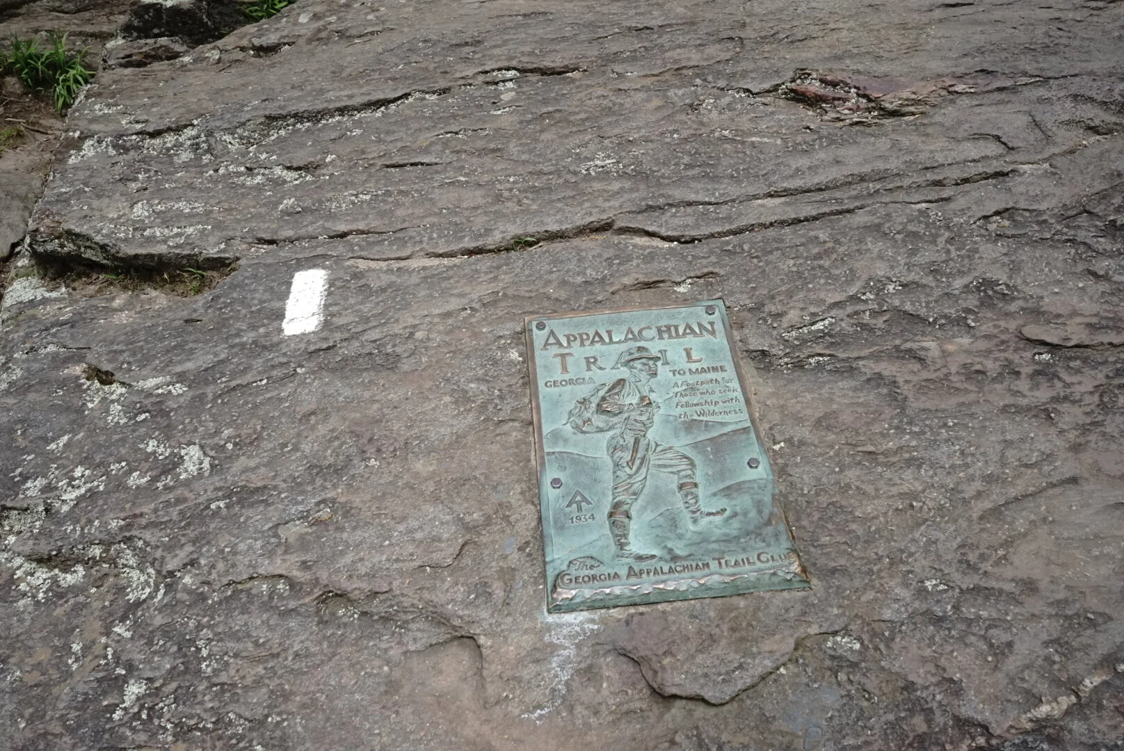 Springer Mountain via Appalachian Approach Trail, Georgia