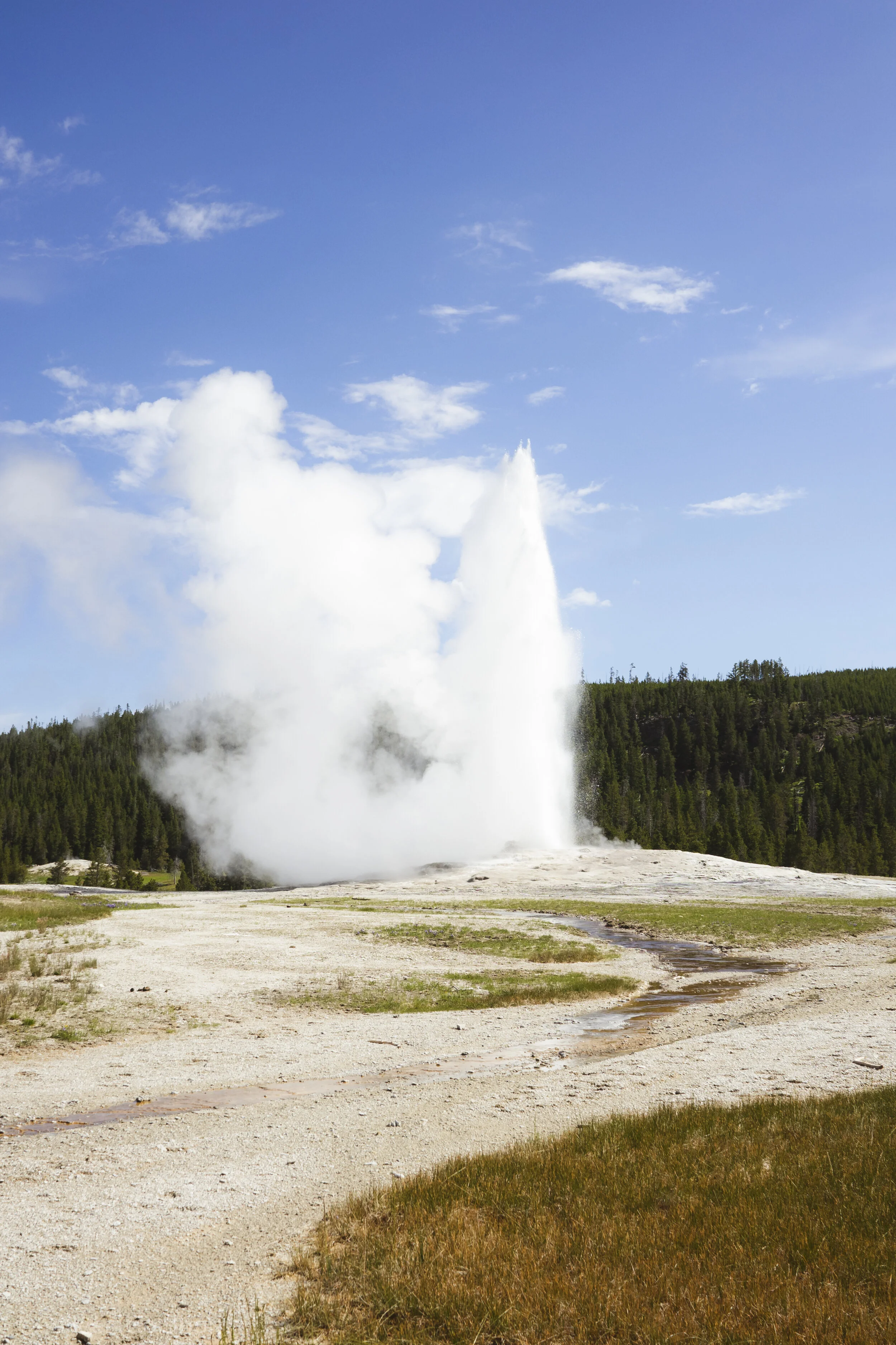 Upper Geyser Hill Trail, Yellowstone National Park, Wyoming