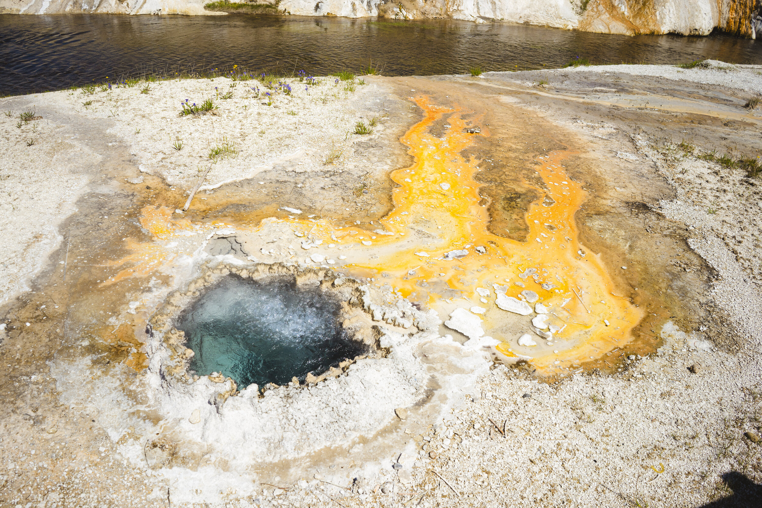 Upper Geyser Hill Trail, Yellowstone National Park, Wyoming