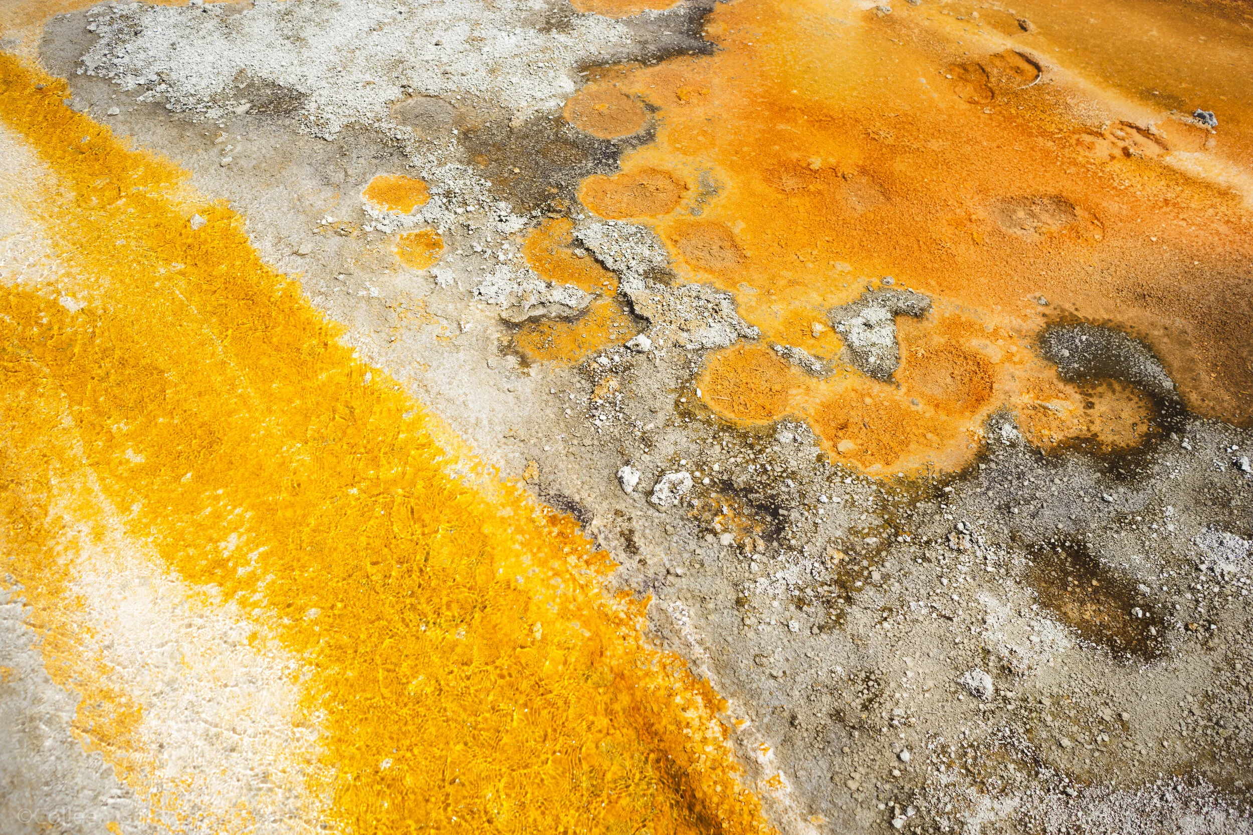 Upper Geyser Hill Trail, Yellowstone National Park, Wyoming