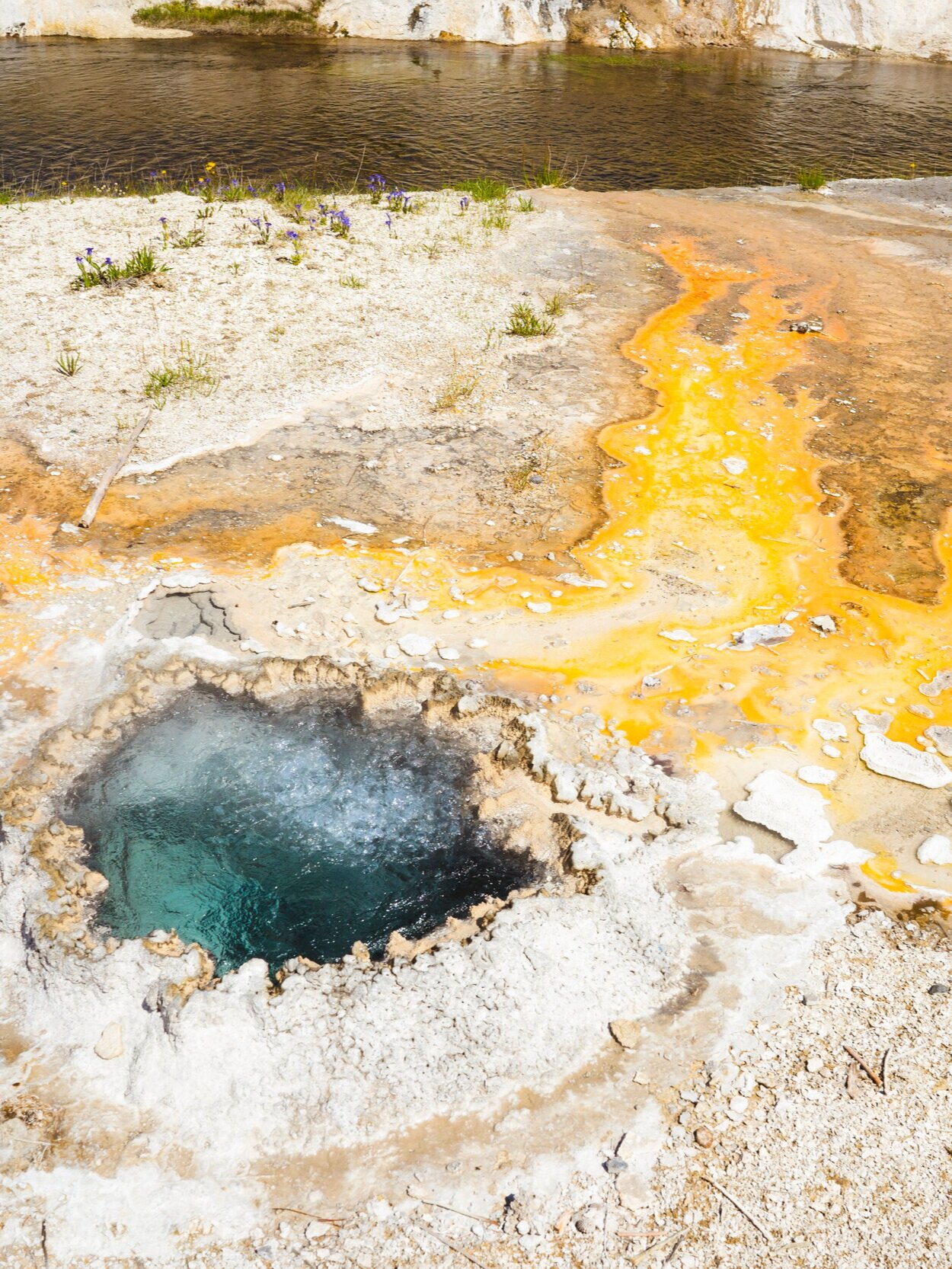 Upper Geyser Hill Trail, Wyoming