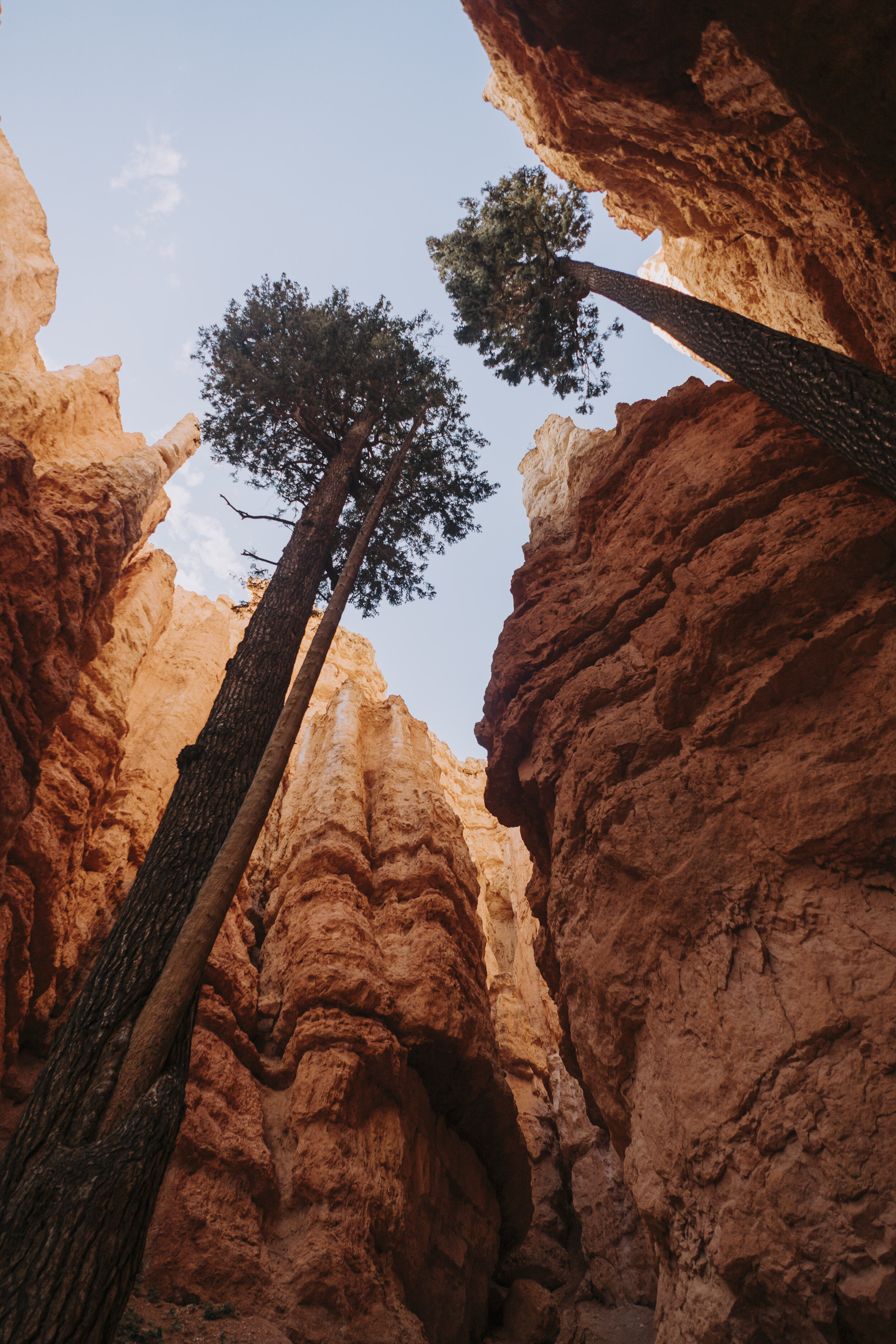 Navajo Loop, Bryce Canyon National Park, Utah