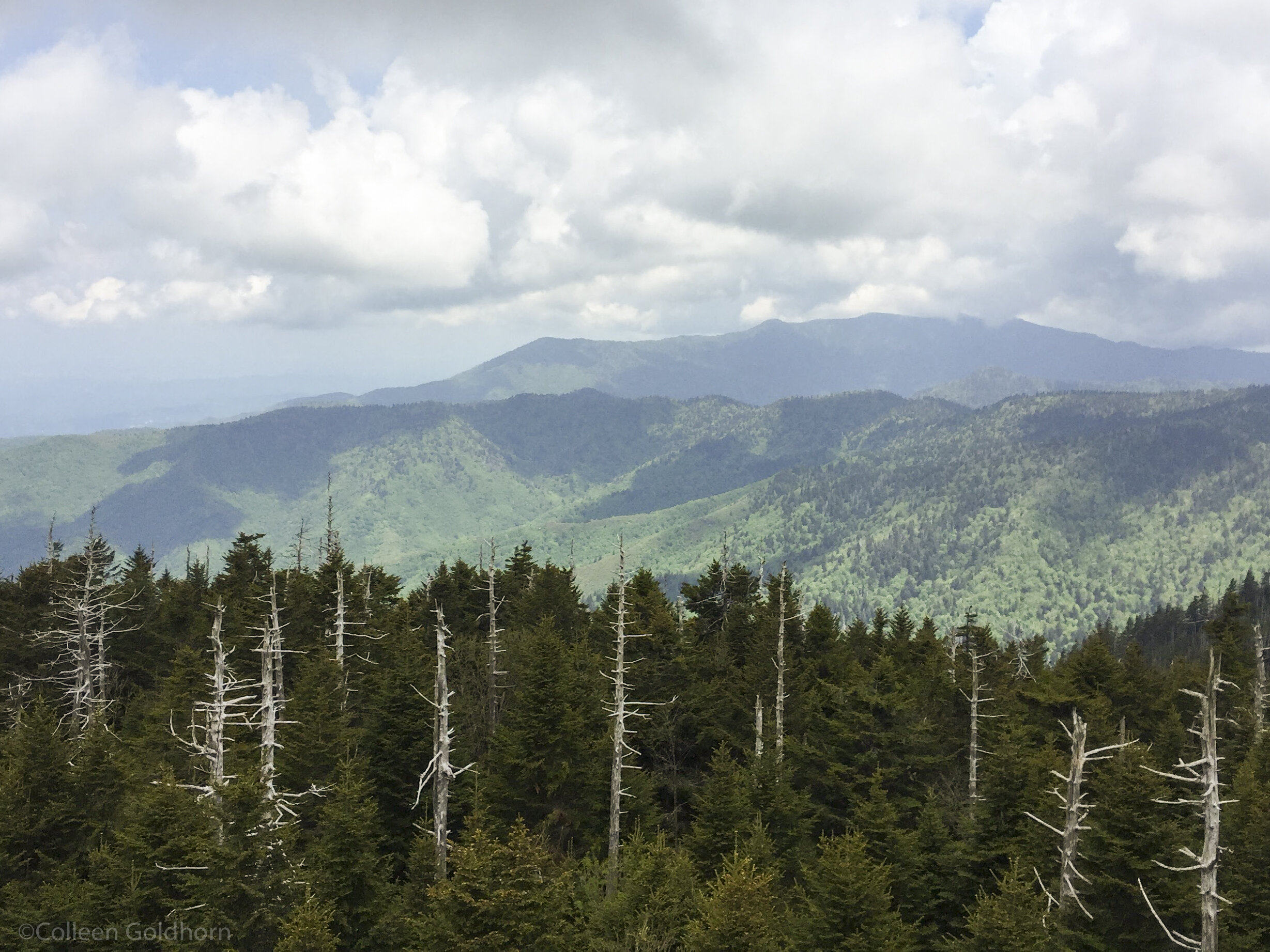 Clingman’s Dome, Great Smoky Mountains, Tennessee