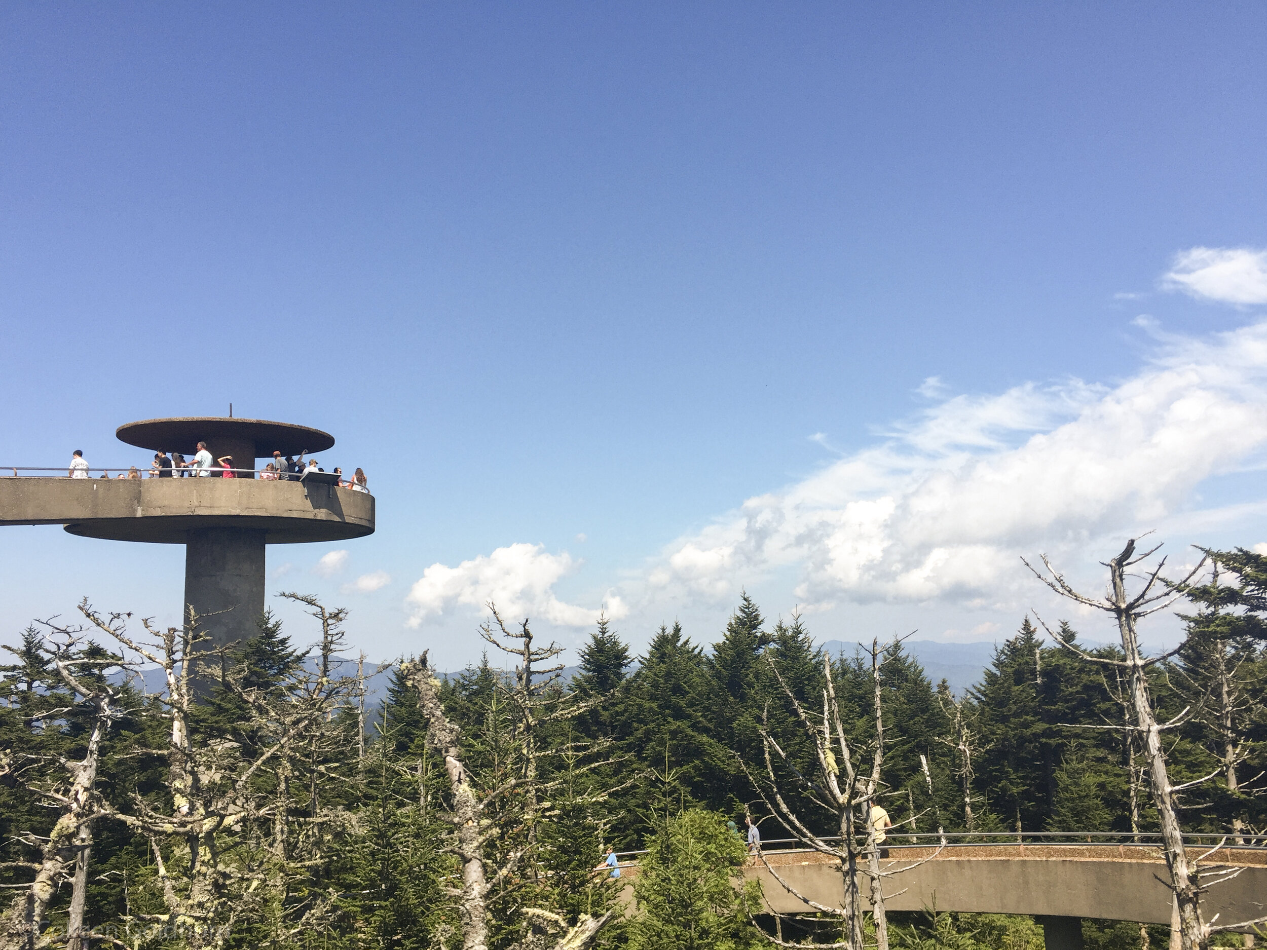 Clingman’s Dome, Great Smoky Mountains, Tennessee