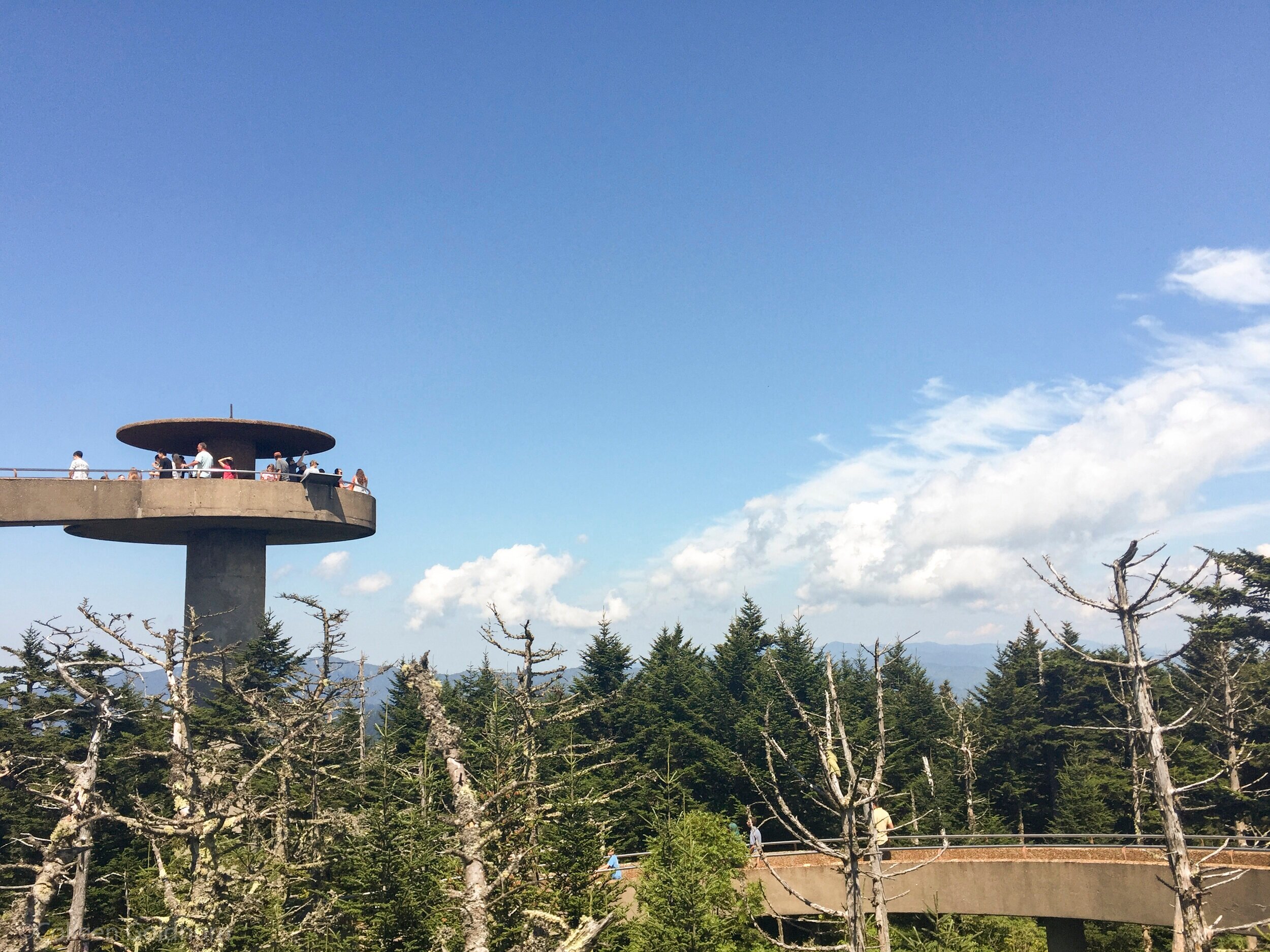 Clingman’s Dome, Tennessee