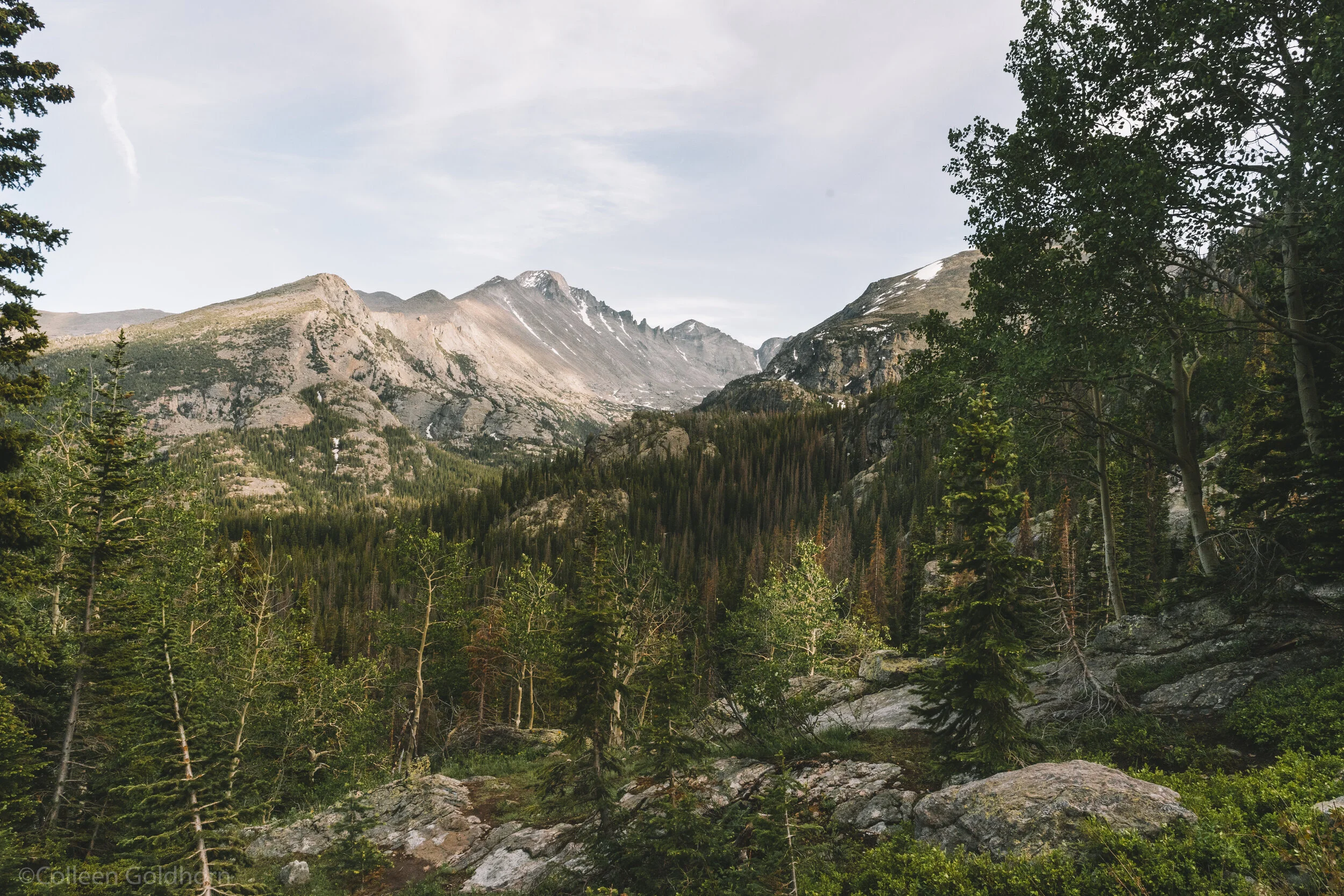 Along the Emerald Lake Trail