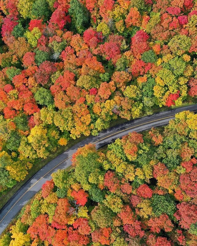 #🍁 by drone in Gatineau