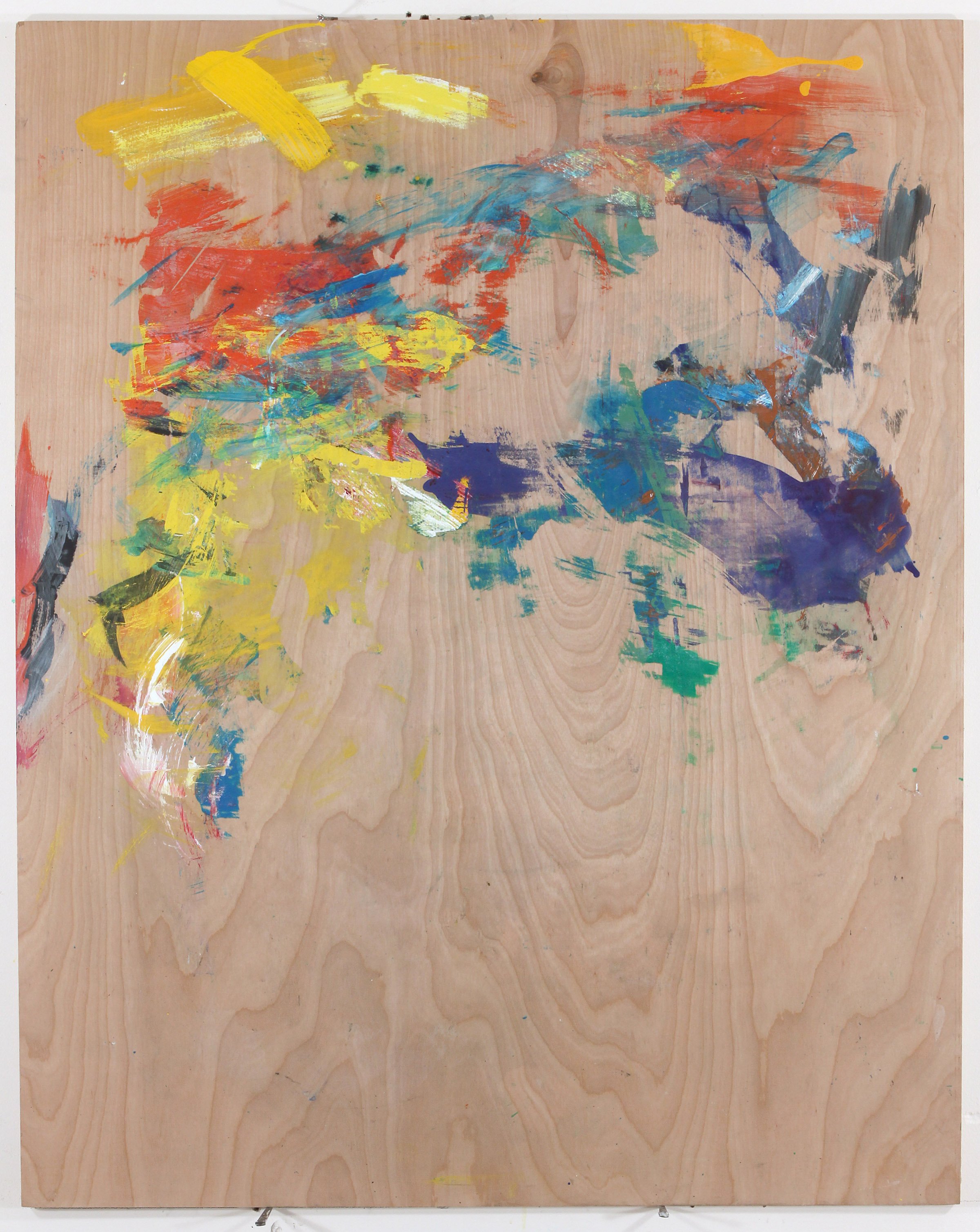 Ravaged Codex, 2011, acrylic on board, 48x38 in.