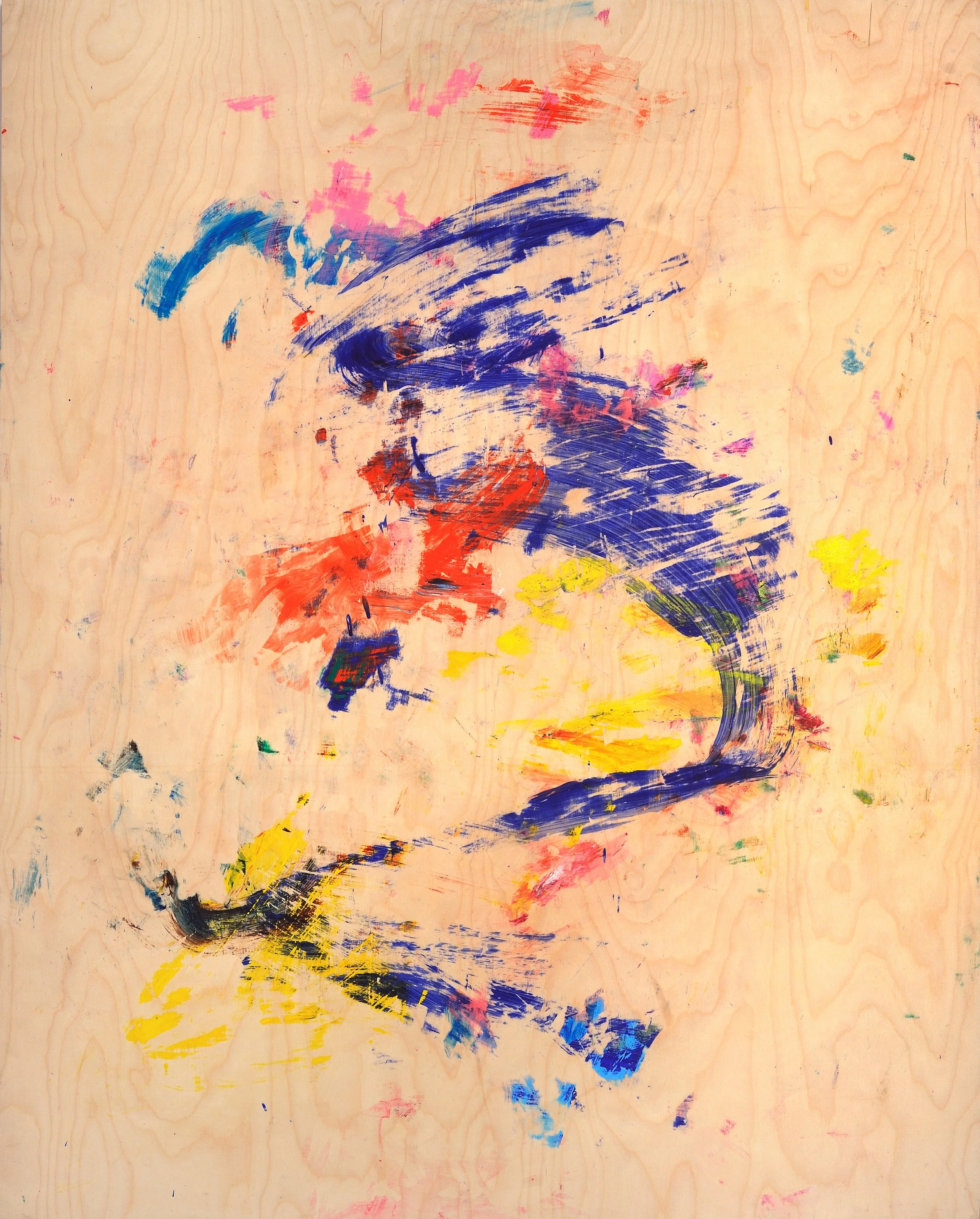 Thrumb Fly, 2014-15, acrylic on birch panel, 60x48 in.
 