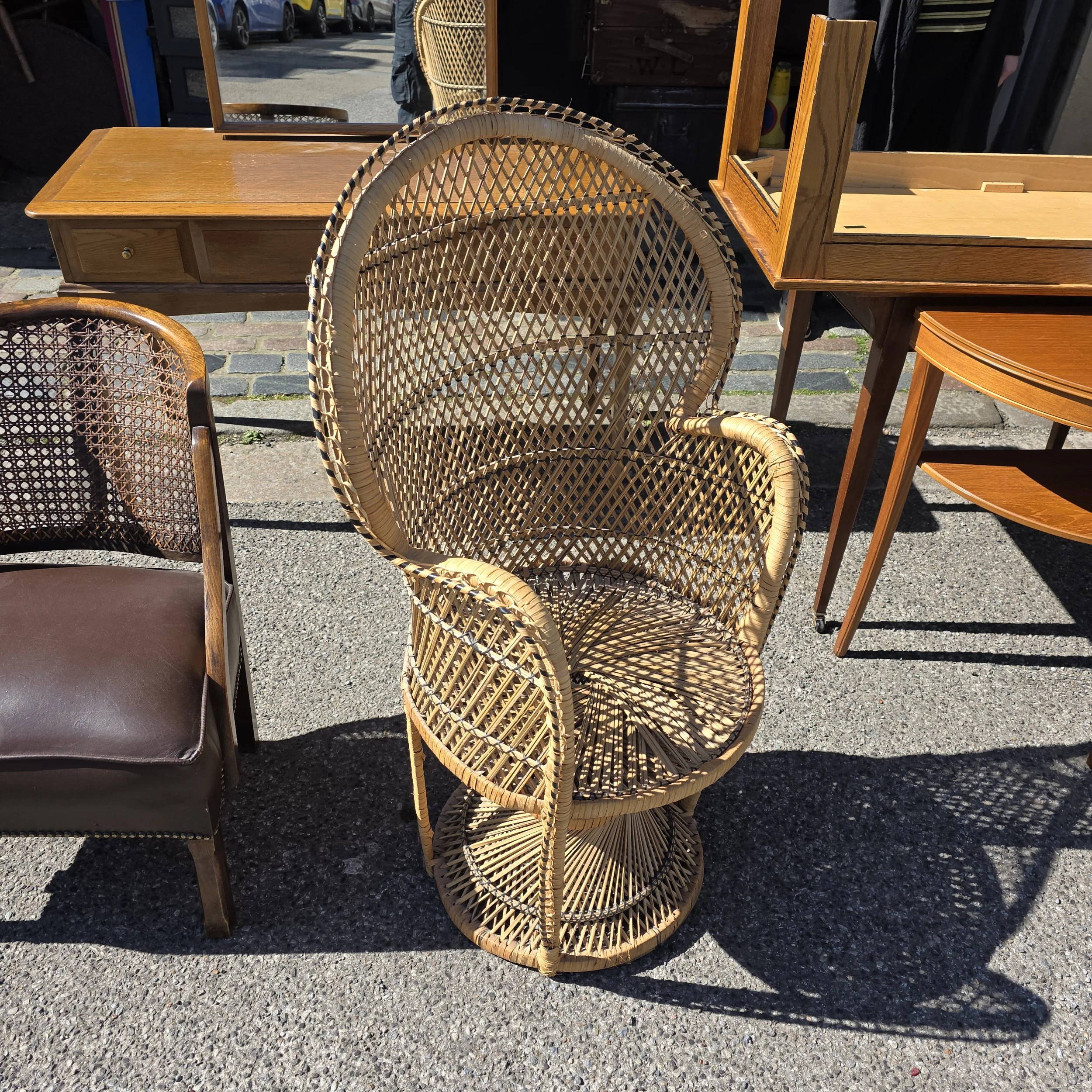 20260501_101842.jpg