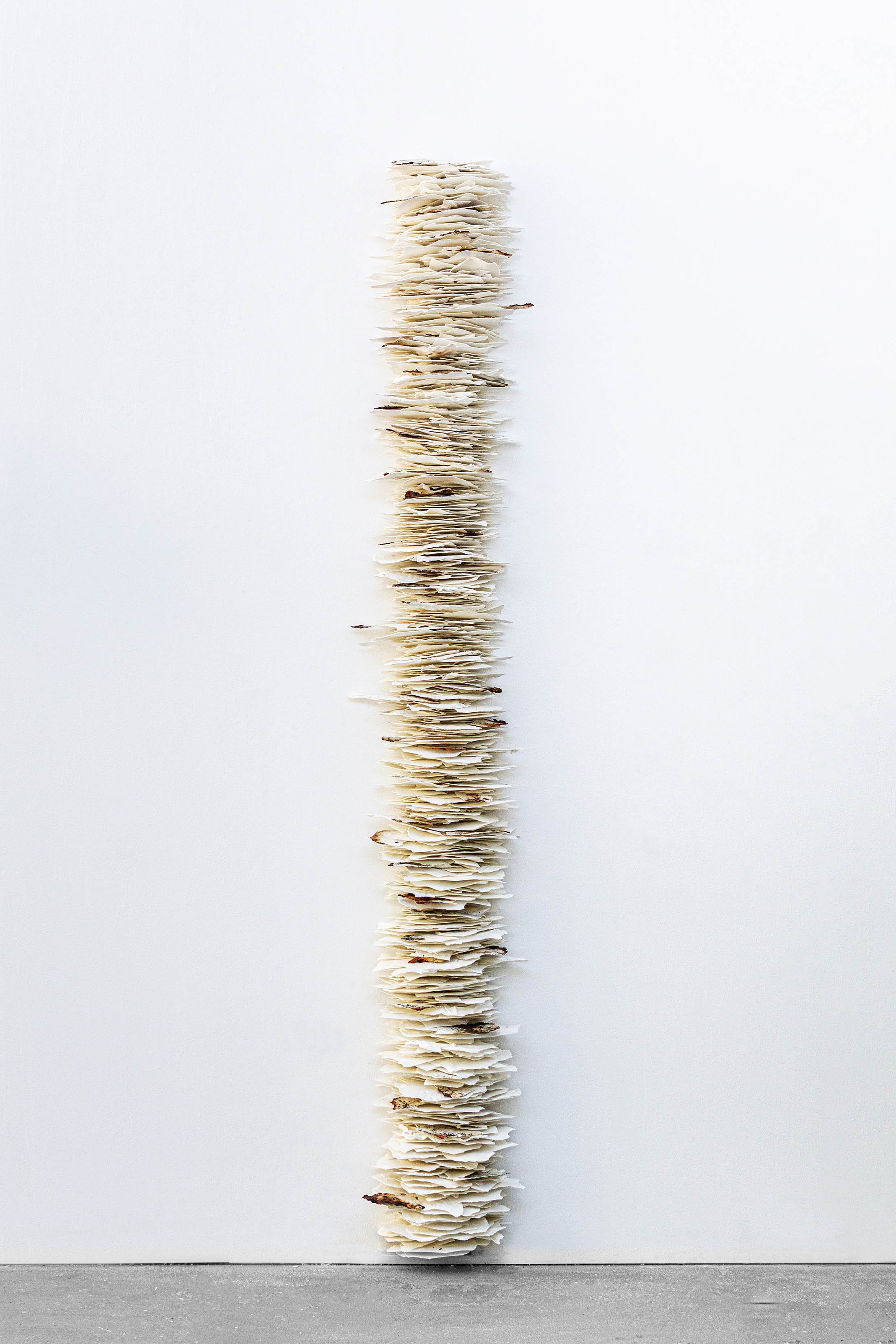 00377DSC_Materia Inscripta_vertical_210x30x25cm_01_web.jpg