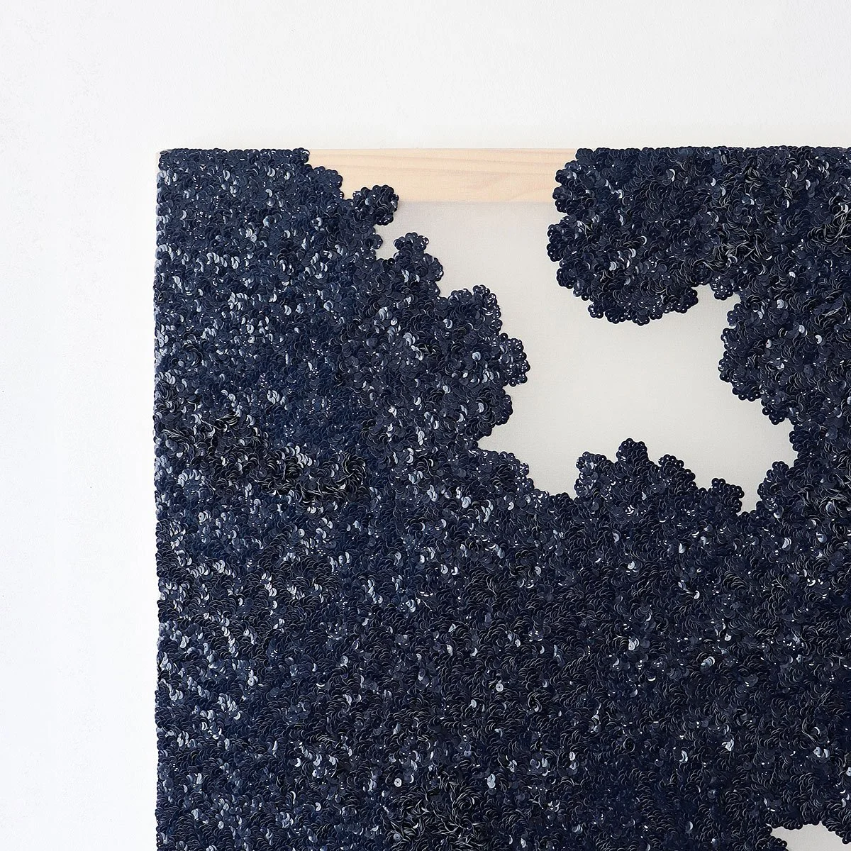 00263CCT_Chrôma 6575F–IV_detail_A_web.jpg